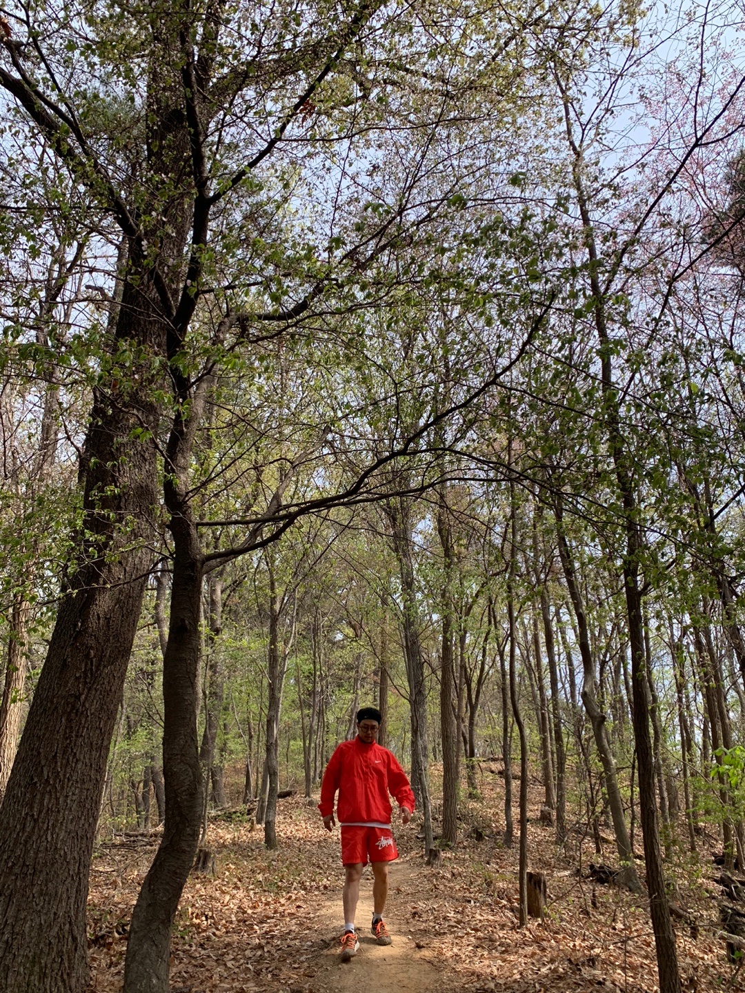 Nike x Stussy Windrunner Jacket Habanero Red, Nike x Stussy Water Shorts Habanero Red 착용 스타일