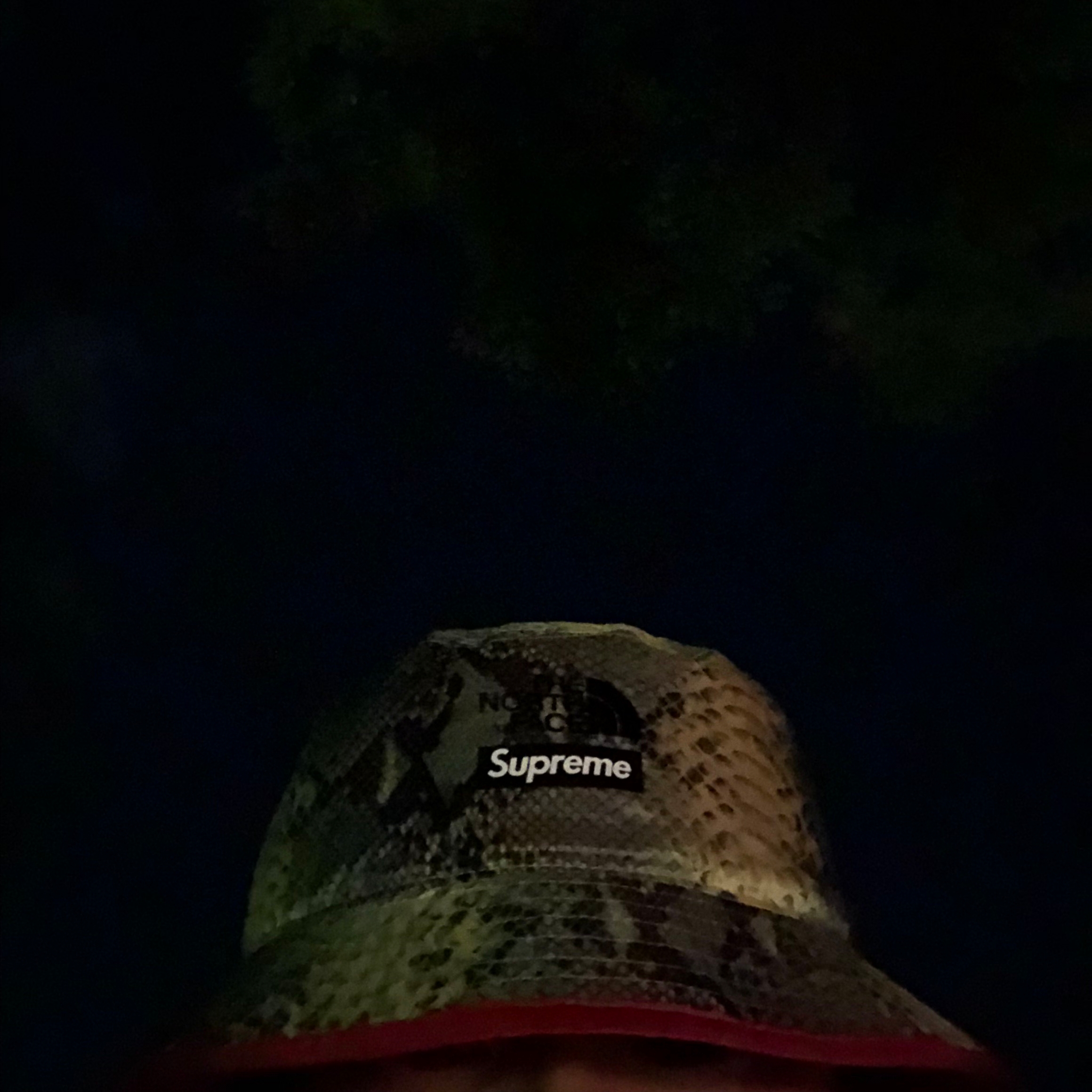 Supreme x The North Face Snakeskin Packable Reversible Crusher Green - 18SS 착용 스타일