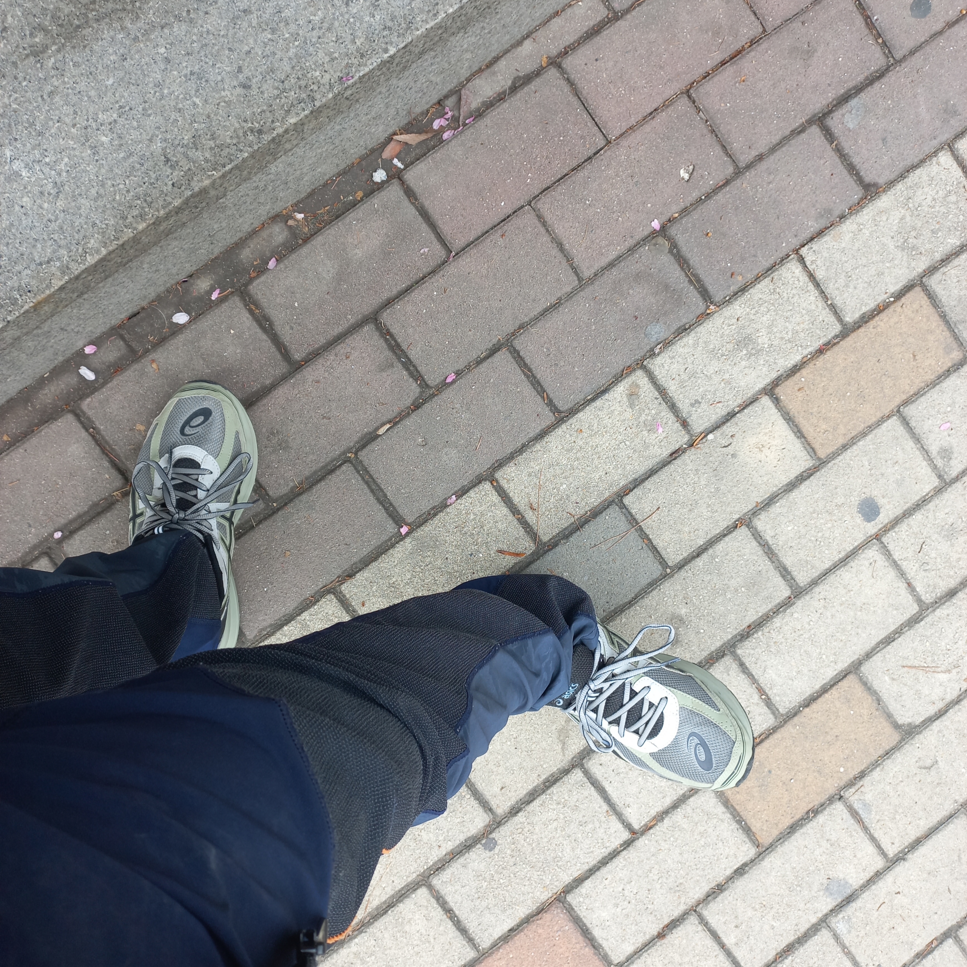Asics Jog 100 S Sheet Rock - 2E Wide 착용 스타일 - 2
