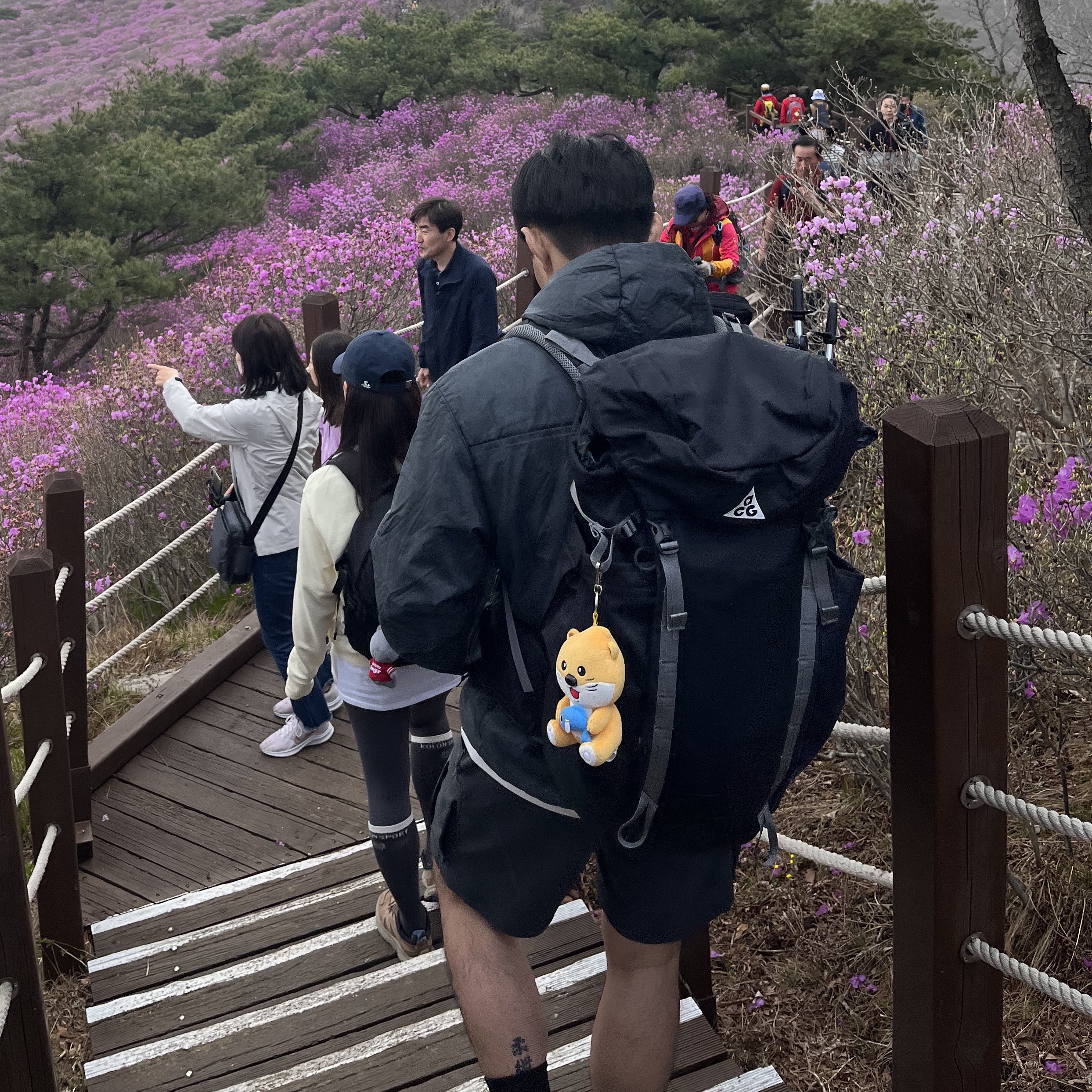 Nike ACG Lowcate Smoke Grey Vivid Purple, Nike ACG Smith Summit Cargo Pants Dark Smoke Grey - US/EU 착용 스타일 - 2