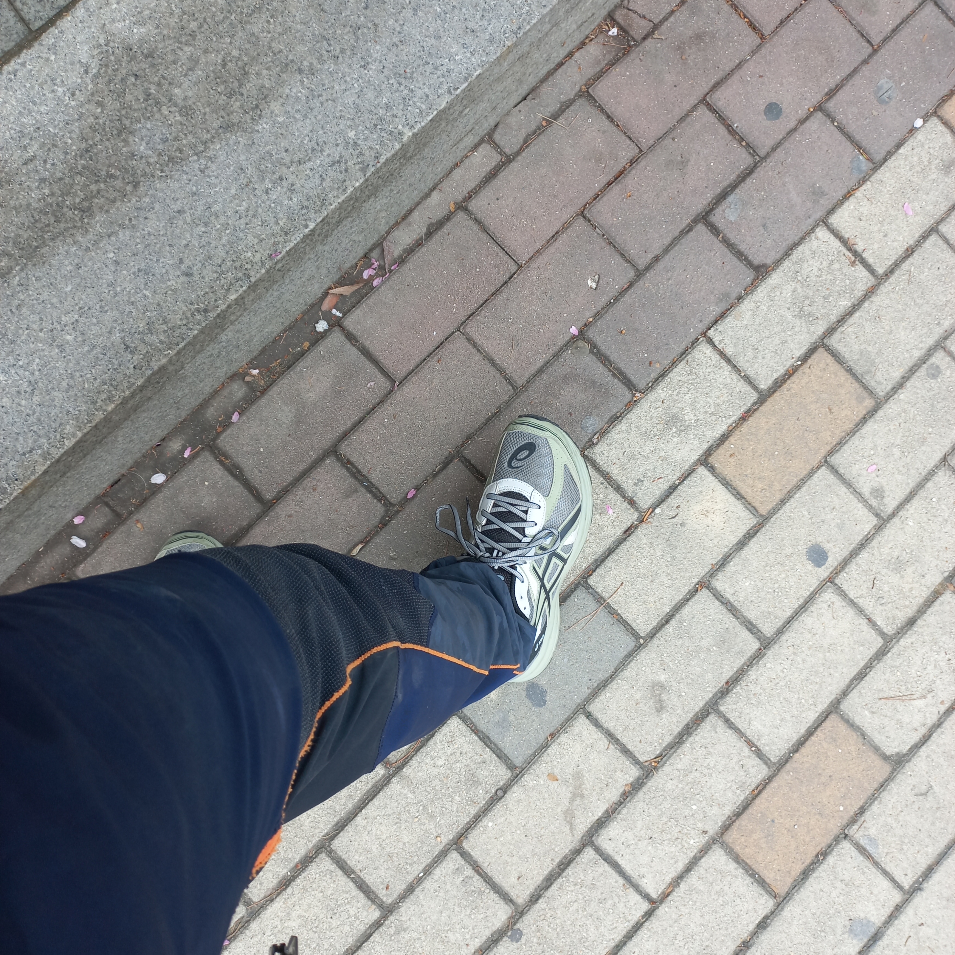 Asics Jog 100 S Sheet Rock - 2E Wide 착용 스타일 - 1