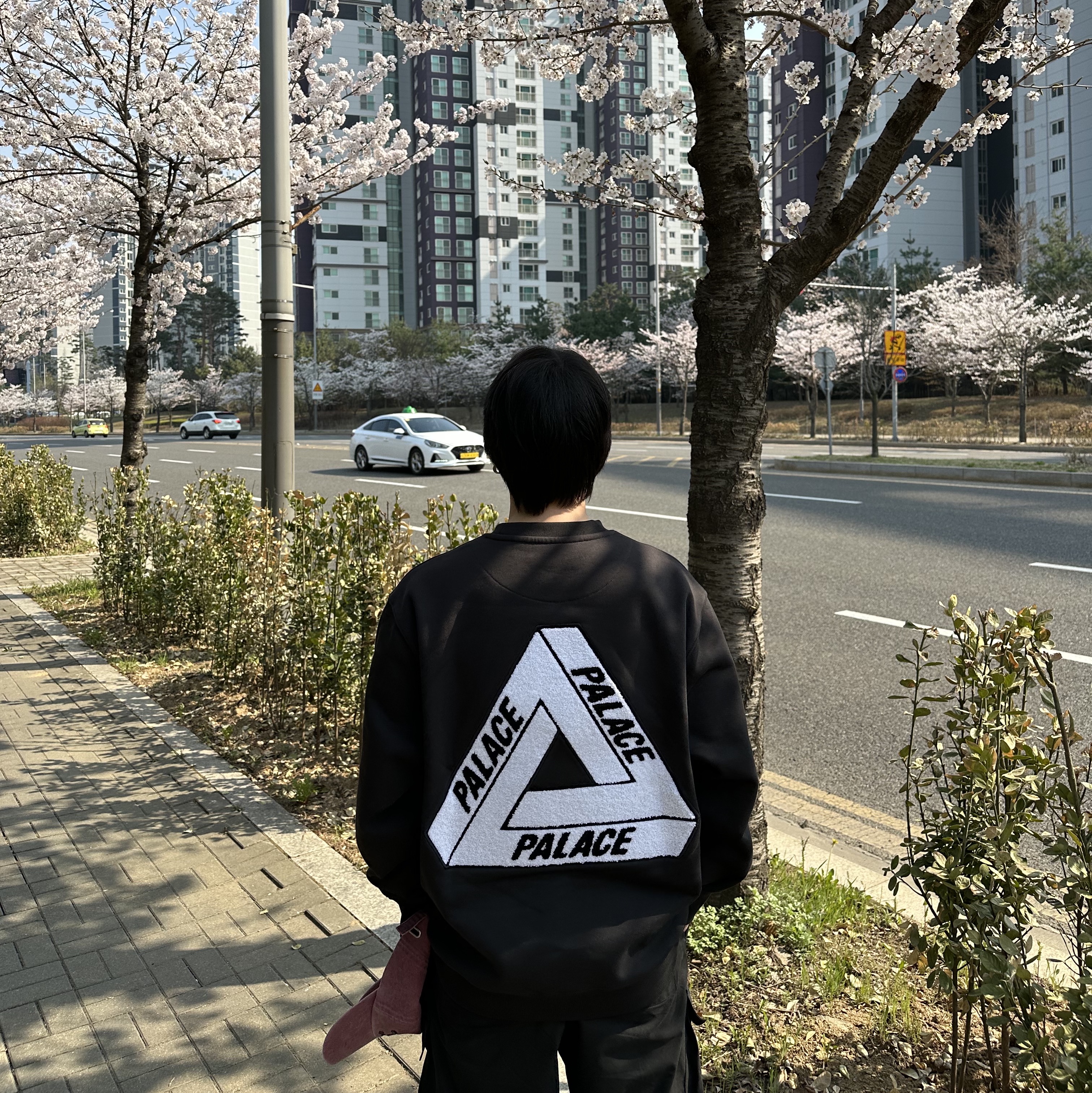 Palace Fleece Tri-Ferg Crew Black - 23SS 착용 스타일