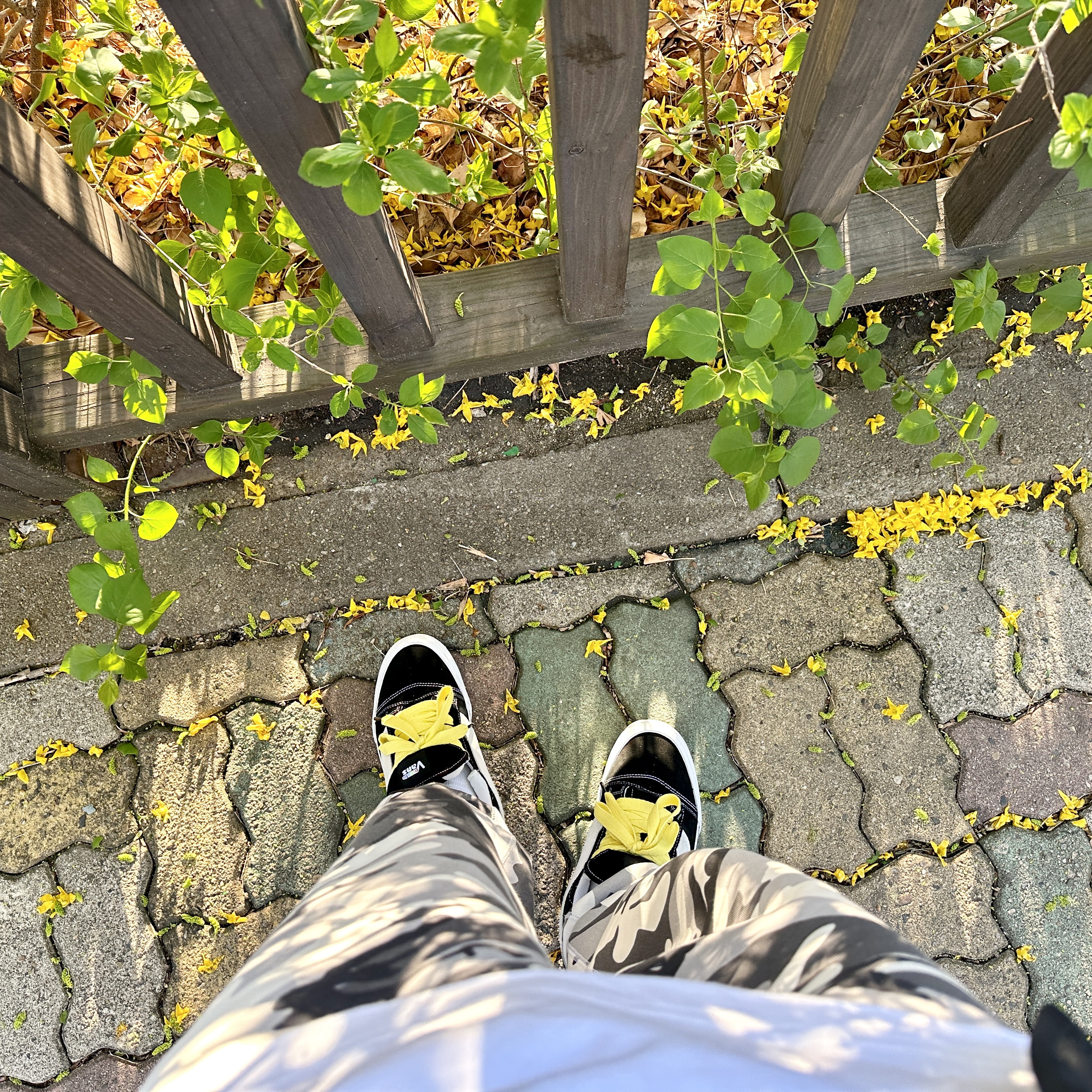 Vans Vault x Imran Potato Knu-Skool VR3 LX Black White, Nike NRG Solo Swoosh Fleece Pants Sail White Camo - US/EU 착용 스타일 - 2