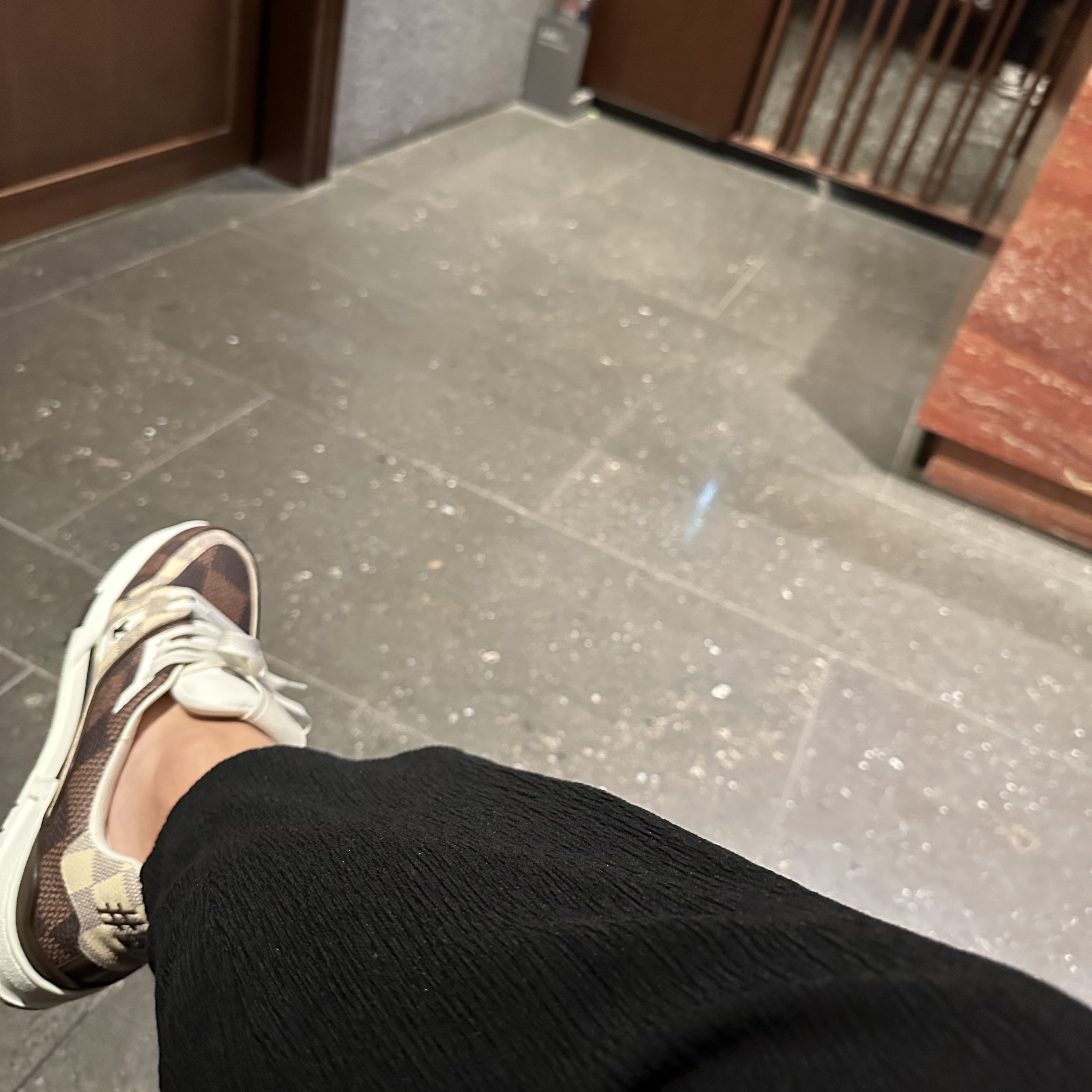 Louis Vuitton LV Trainer Sneakers Damier Ebene 착용 스타일