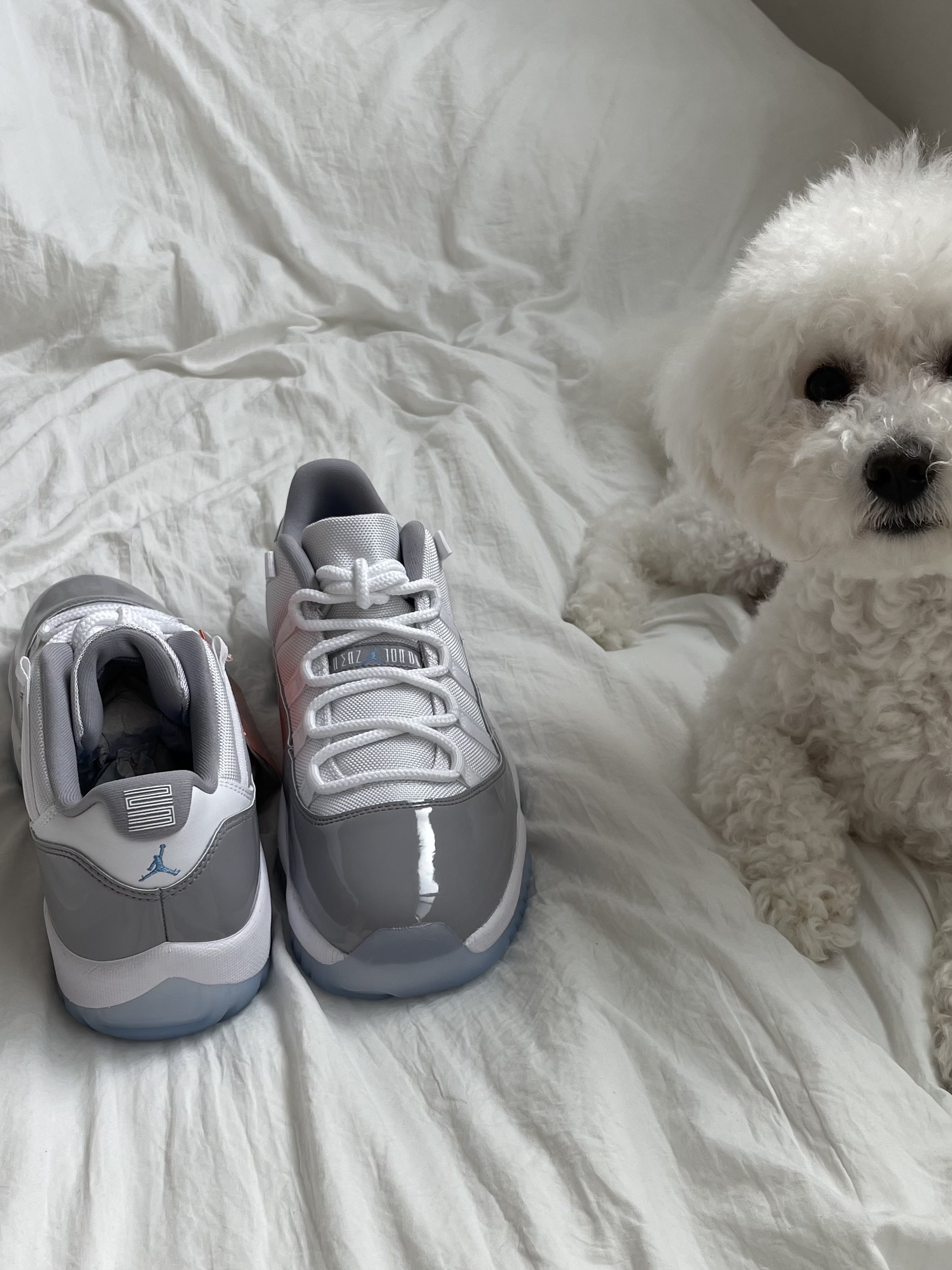 Jordan 11 Retro Low Cement Grey 착용 스타일 - 5