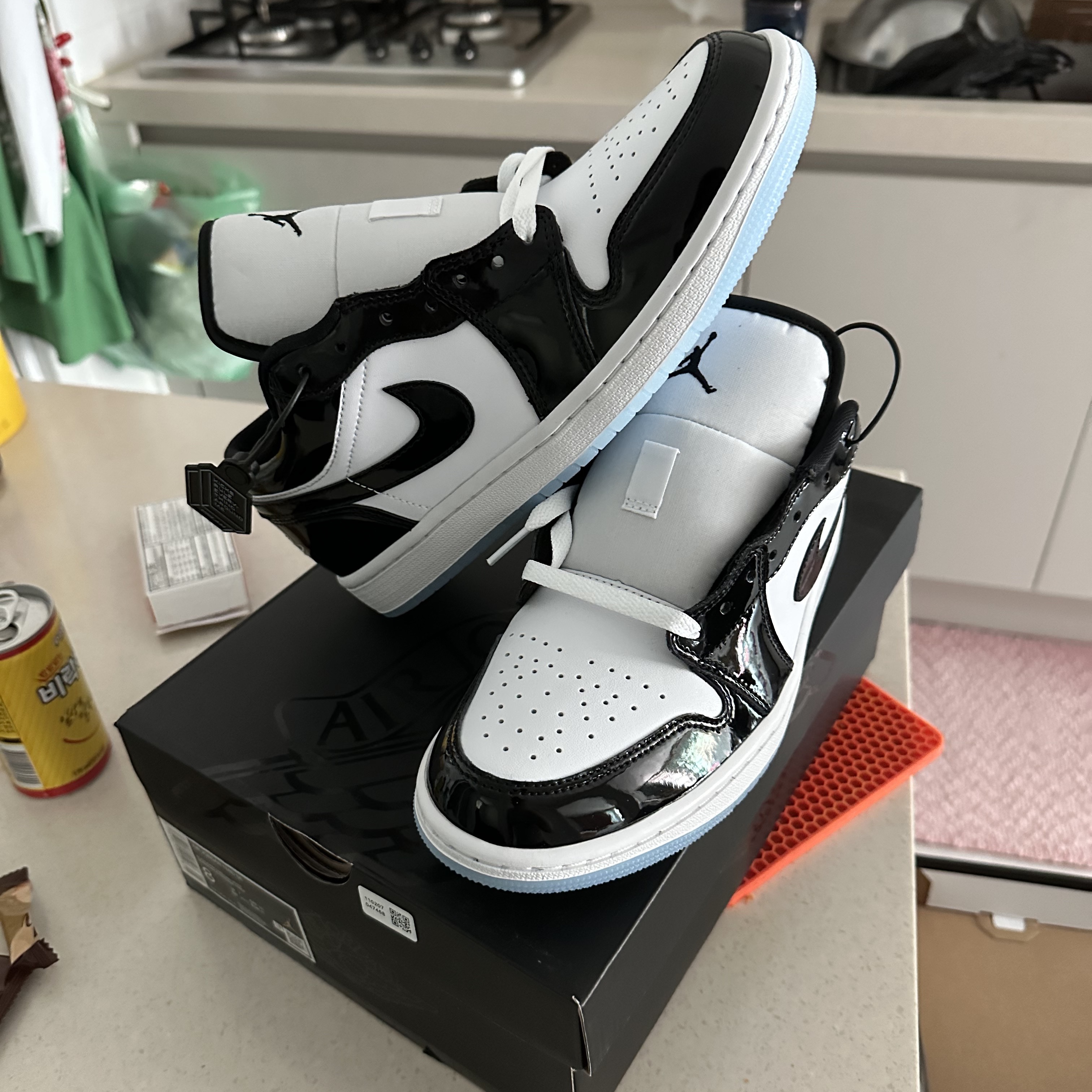 Jordan 1 Low SE Concord 착용 스타일