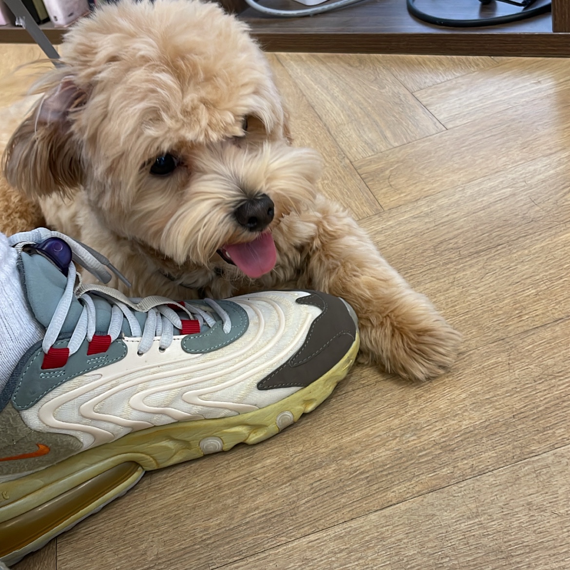 Nike x Travis Scott Air Max 270 React Cactus Trails 착용 스타일