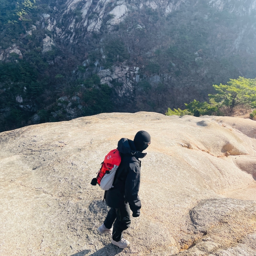 Arc'teryx Bird Head Toque 24K Black, Palace x Arc'teryx Alpha AR 20 Backpack - 20FW 착용 스타일