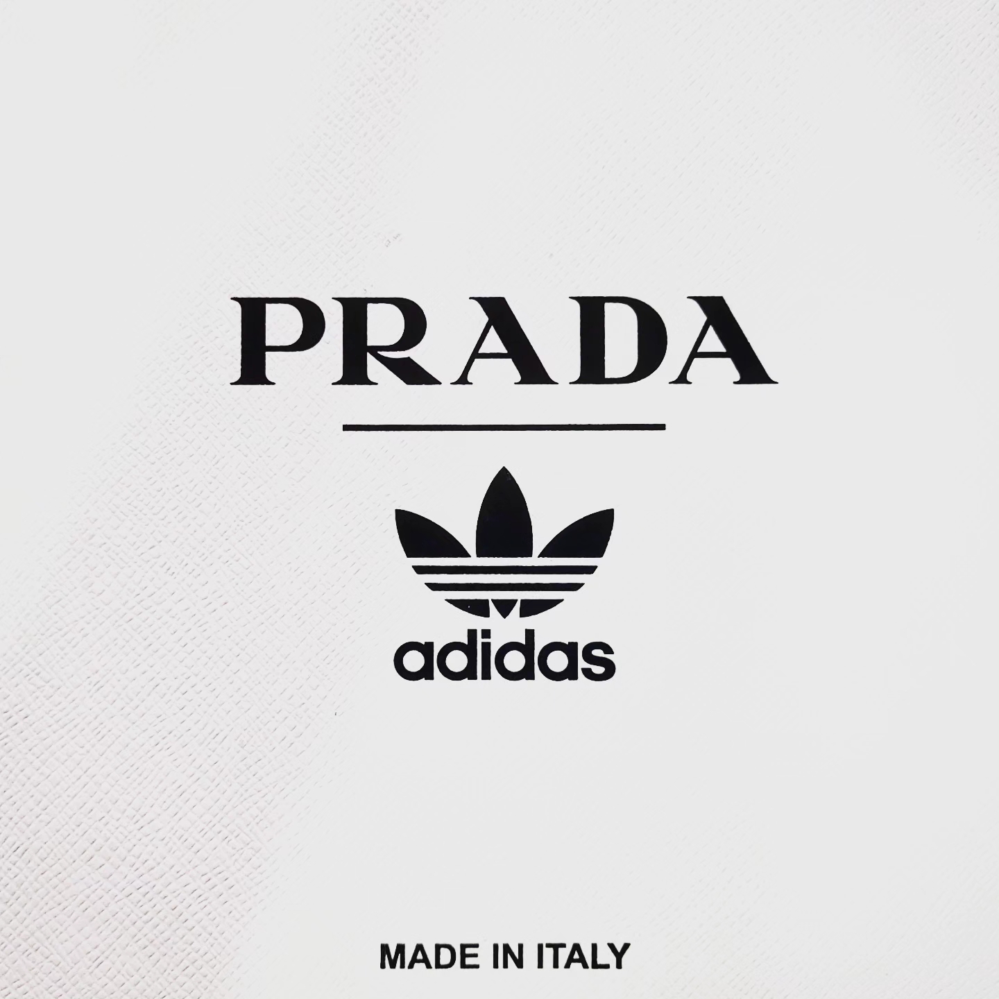 Adidas x Prada Superstar Metallic Silver 착용 스타일 - 3