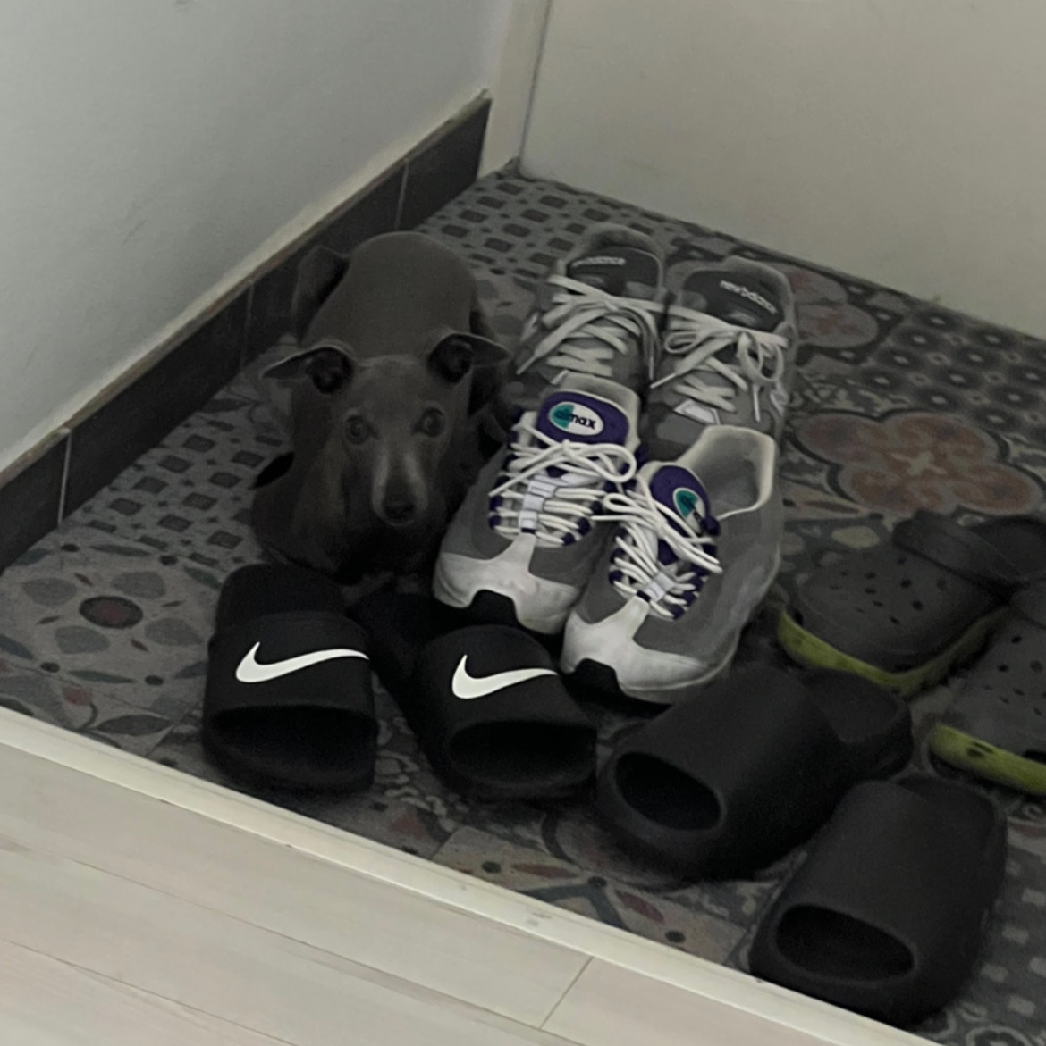 (W) Nike Air Max 95 Grape 2018, New Balance 992 Made in USA Grey - D Standard 착용 스타일