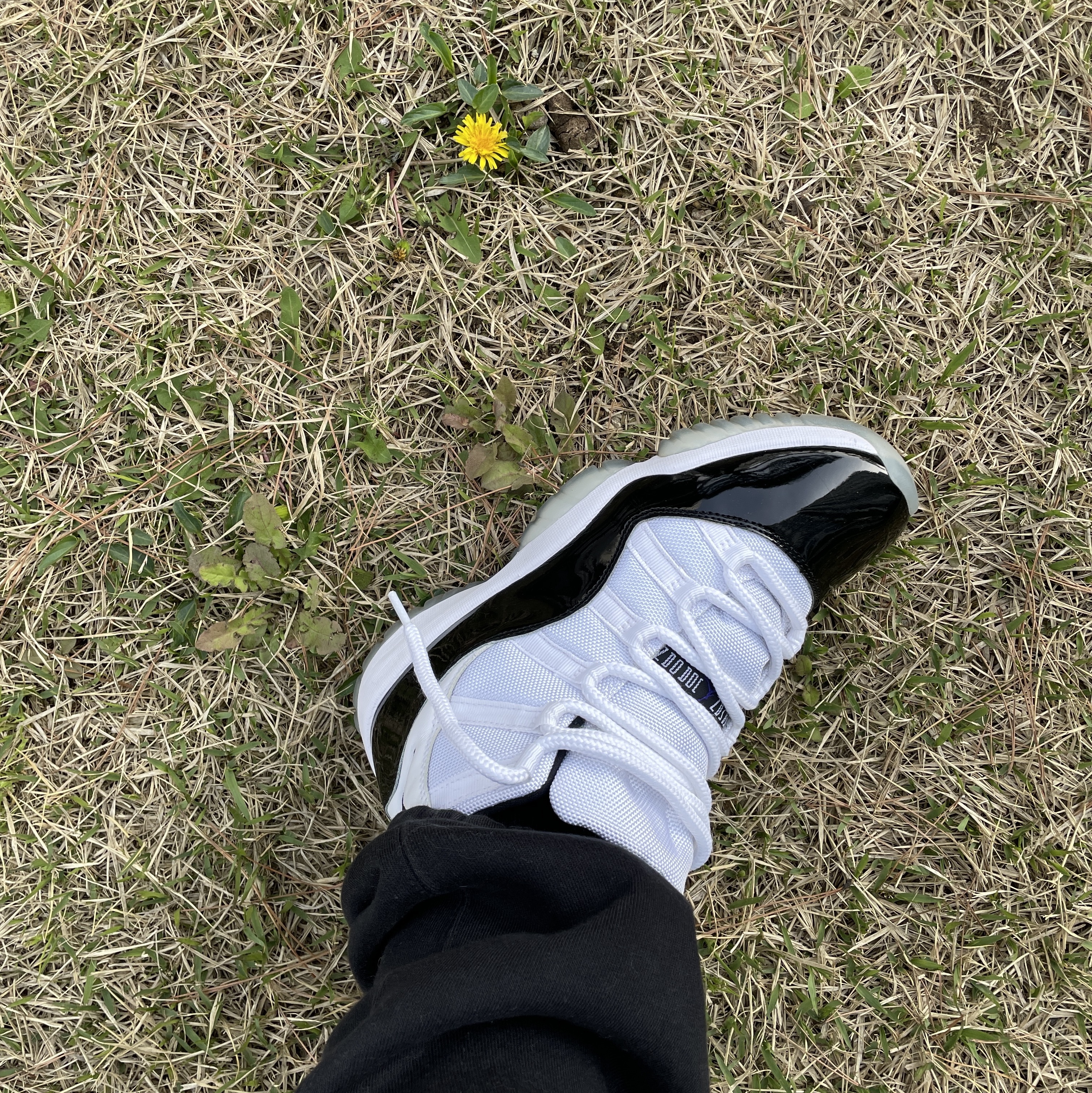 Jordan 11 Retro Concord 2018 착용 스타일