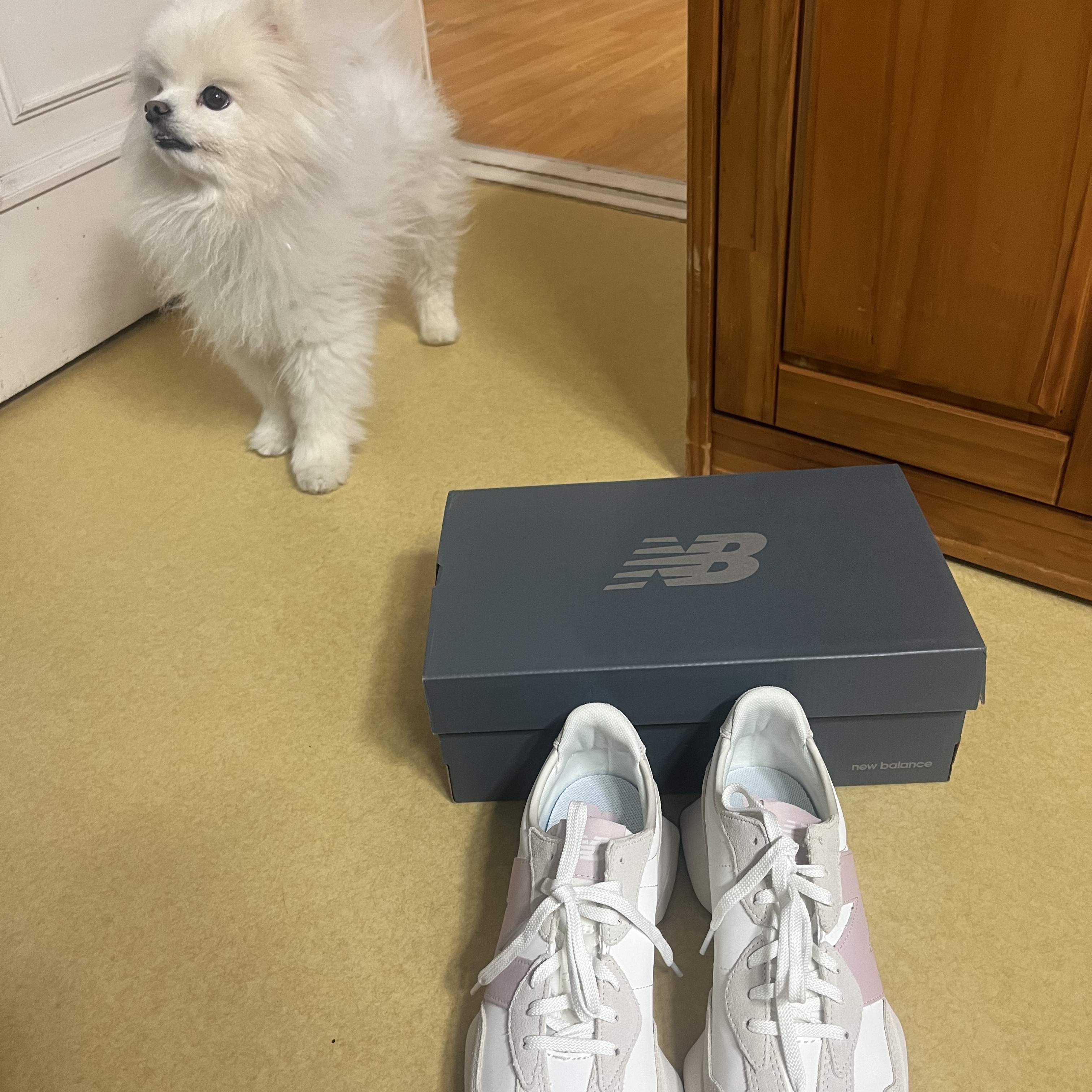 (W) New Balance 327 Sea Salt Pink Haze 착용 스타일