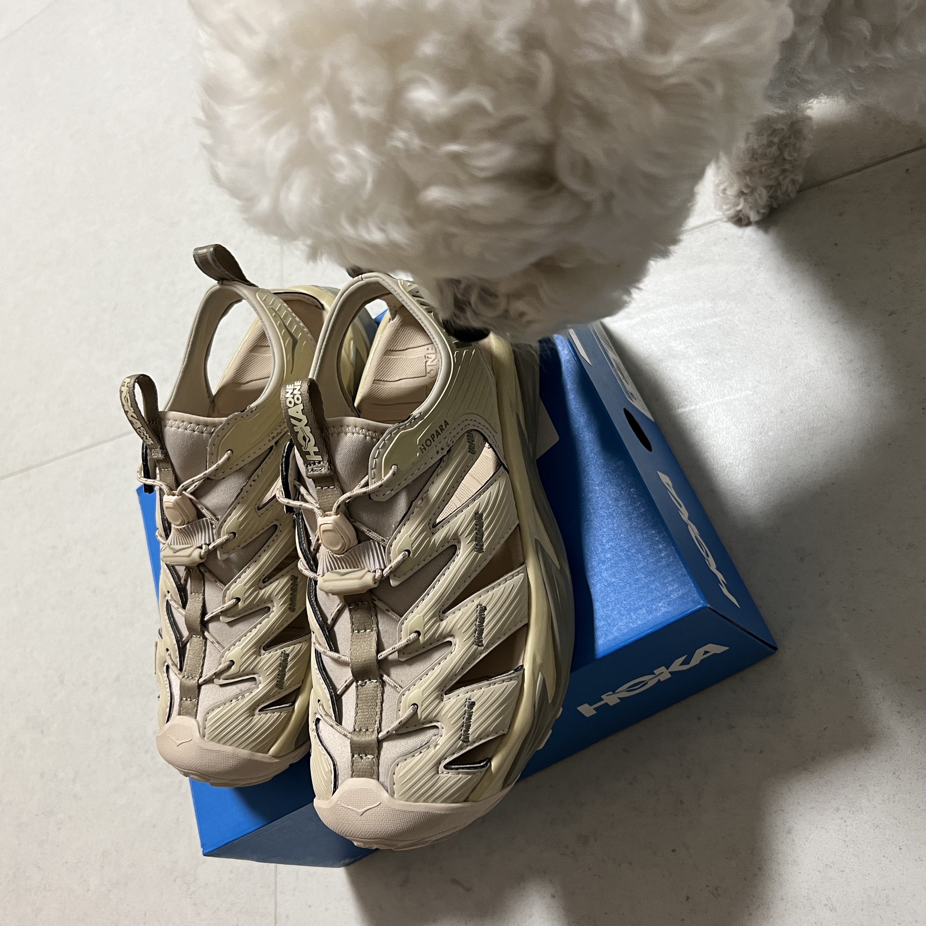 Hoka Hopara Shifting Sand Dune 착용 스타일 - 3
