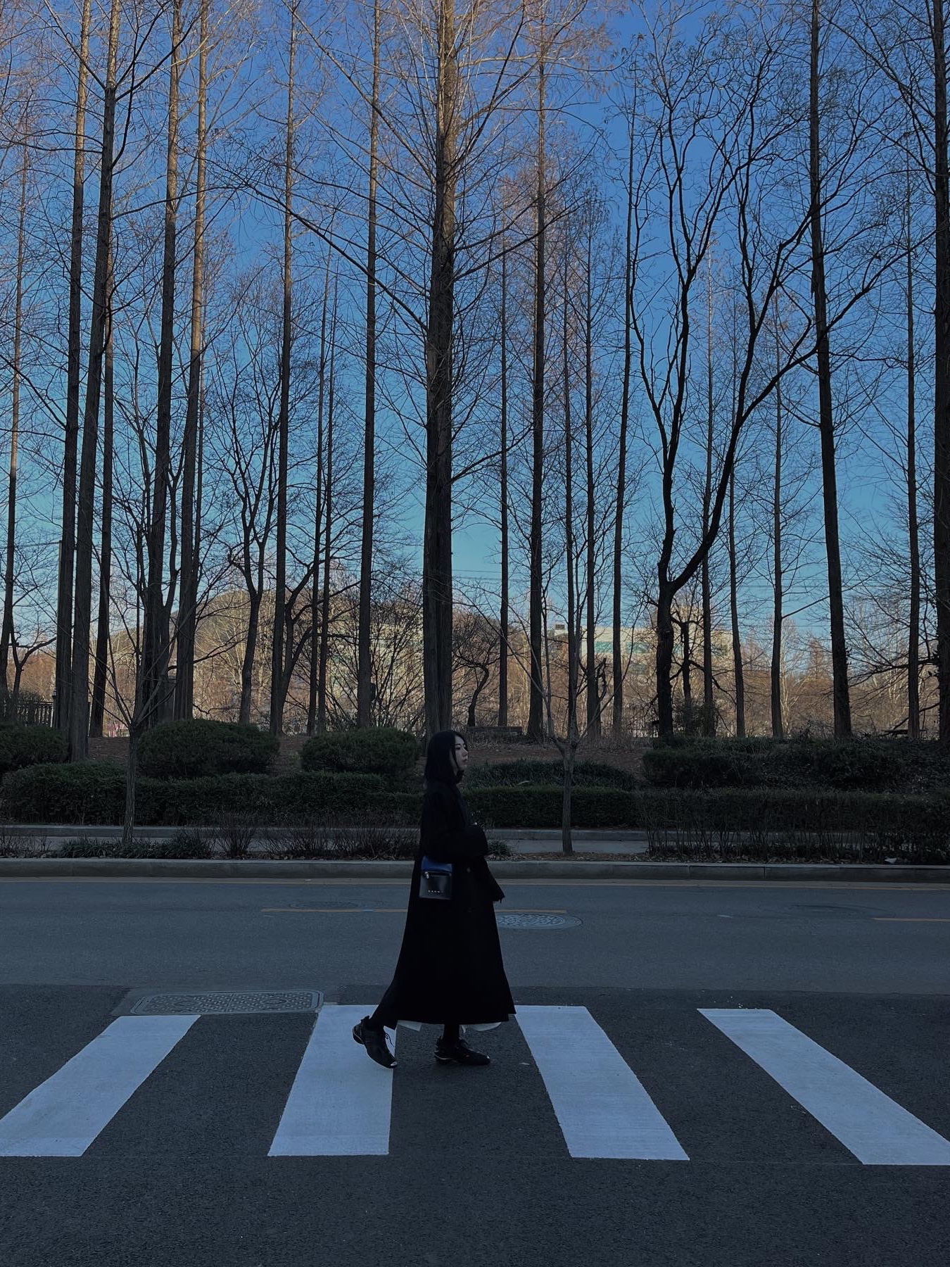 Balenciaga Tyrex Sneakers Black, Zara x Ader Error Oversized Wool Coat Black 착용 스타일 - 2