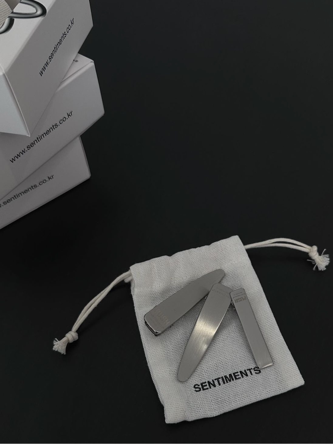 Sentiments No.352 Hair Pin 3 Set Push Pin Clip Silver, Sentiments No.352 Hair Pin 3 Set Push Pin Clip Black 착용 스타일