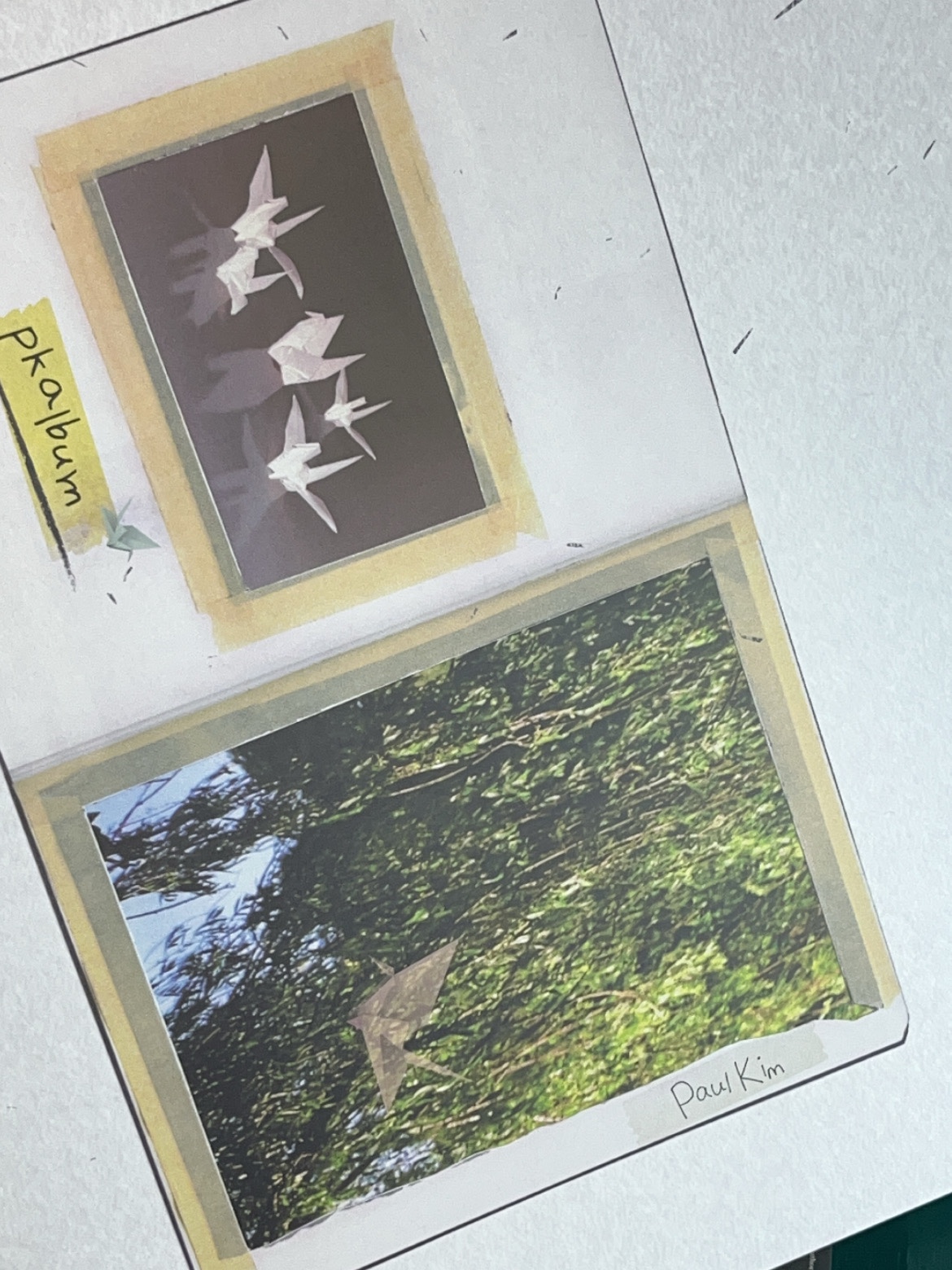 Paul Kim Pkalbum LP Dark Green 착용 스타일 - 1