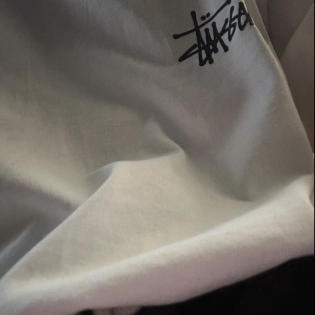 Stussy Basic Stussy T-Shirt White 2022 착용 스타일