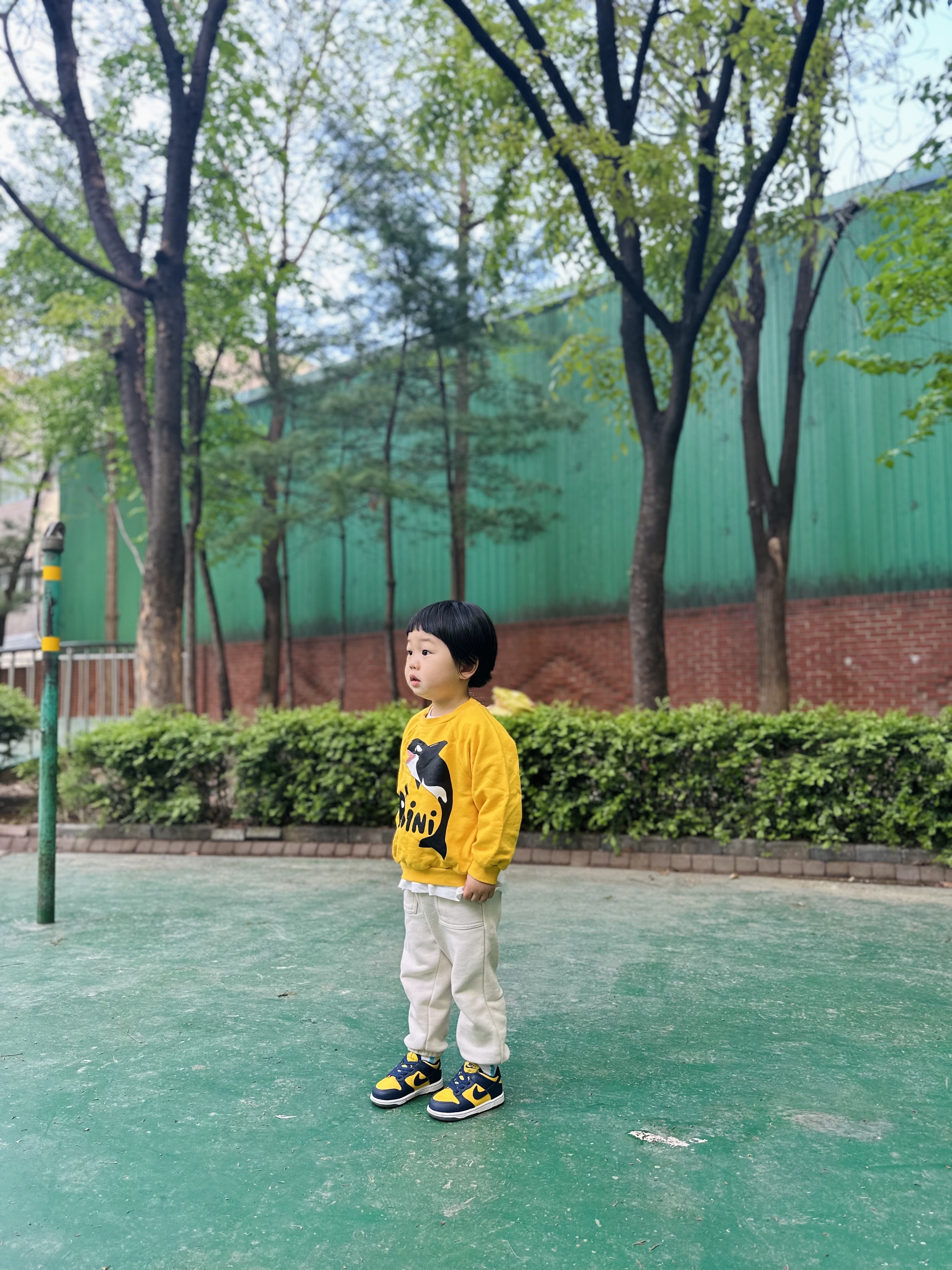 (TD) Nike Dunk Low Varsity Maize, Nike Dunk Low Retro Varsity Maize 착용 스타일 - 1