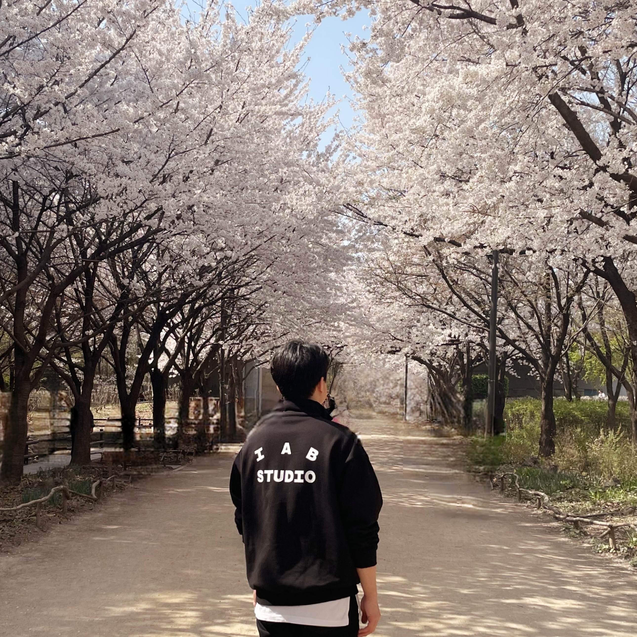 IAB Studio Half Zip-Up Black White, Jordan 1 Retro High OG Chicago 2022 착용 스타일