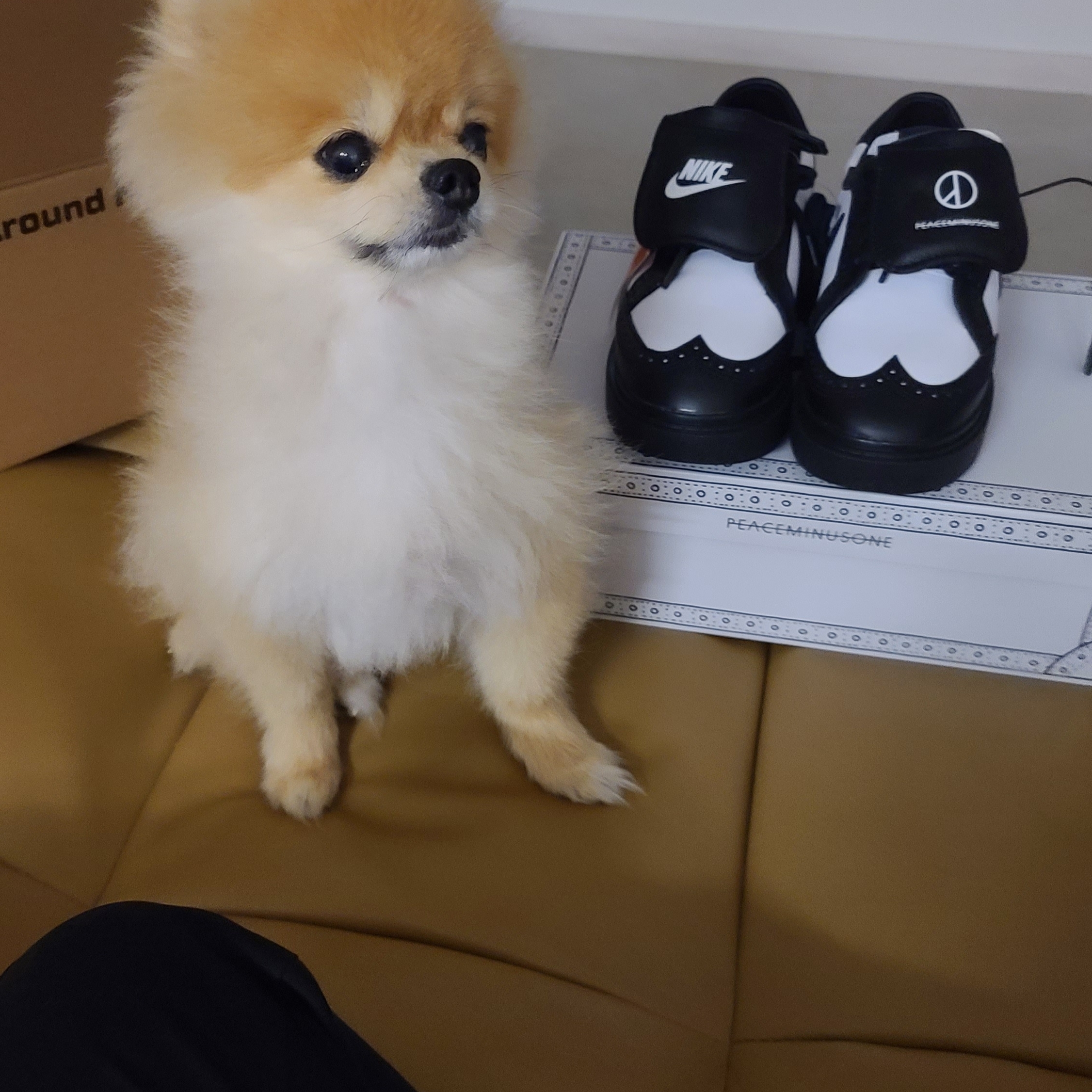 Nike x Peaceminusone Kwondo1 Black and White 착용 스타일 - 2