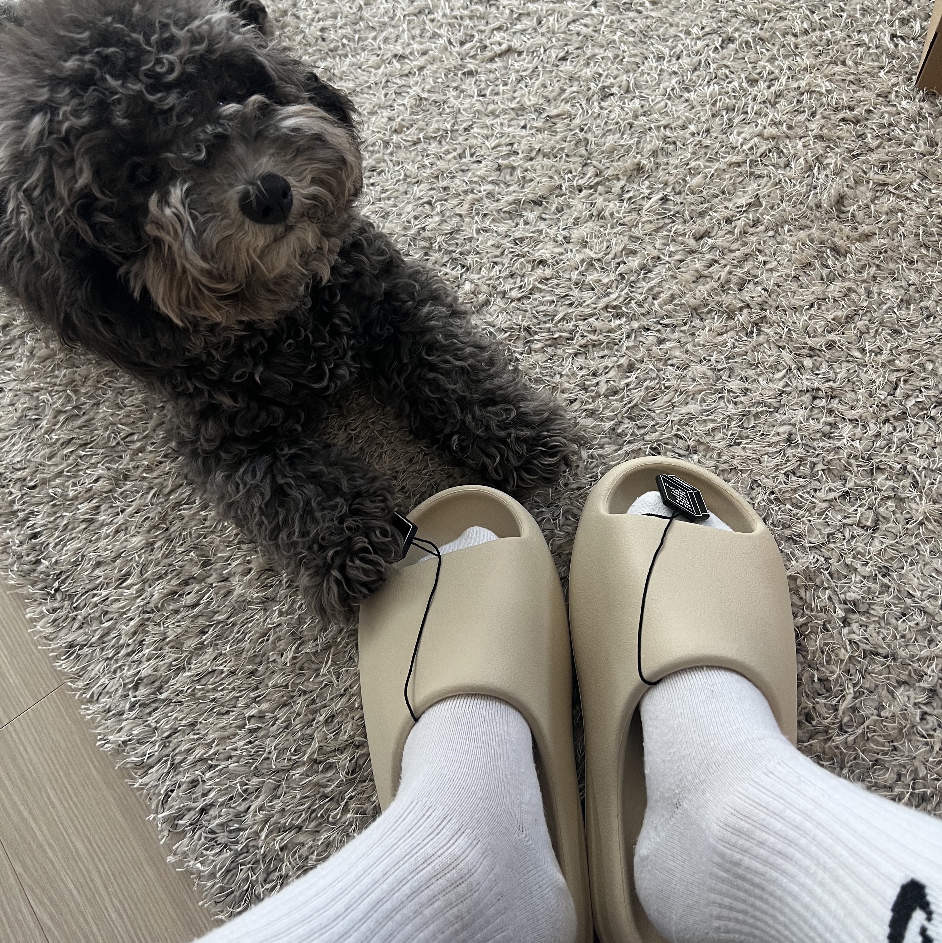 Adidas Yeezy Slide Bone 2022/2023 착용 스타일 - 2