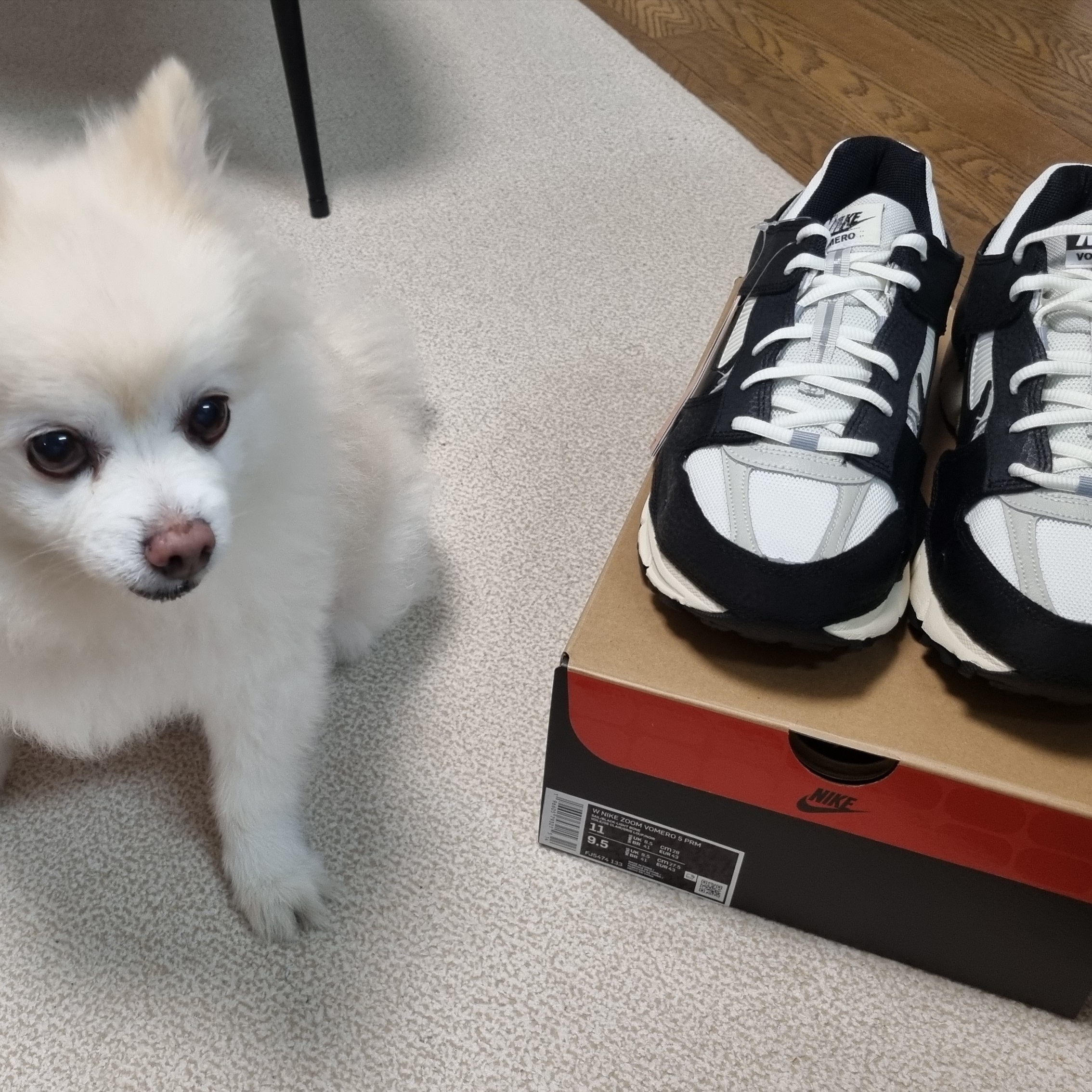 (W) Nike Zoom Vomero 5 Wolf Grey and Black 착용 스타일