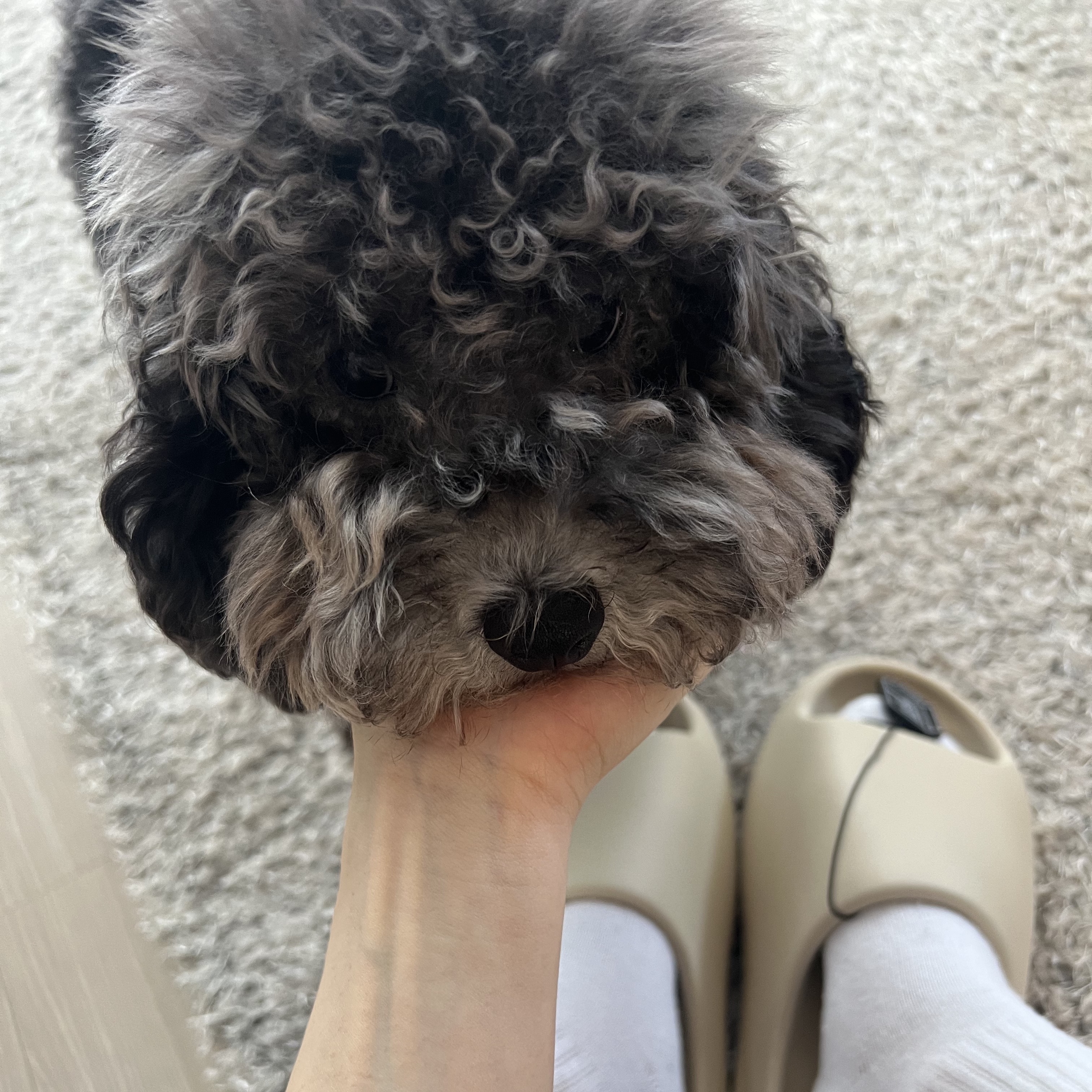 Adidas Yeezy Slide Bone 2022/2023 착용 스타일 - 1