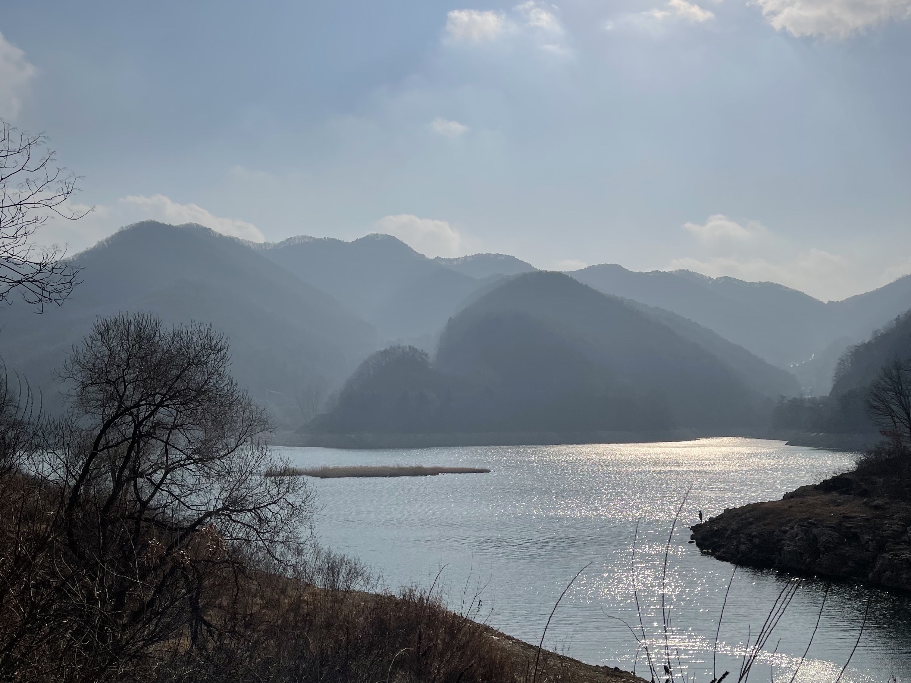 너구리님의 스타일 - 3
