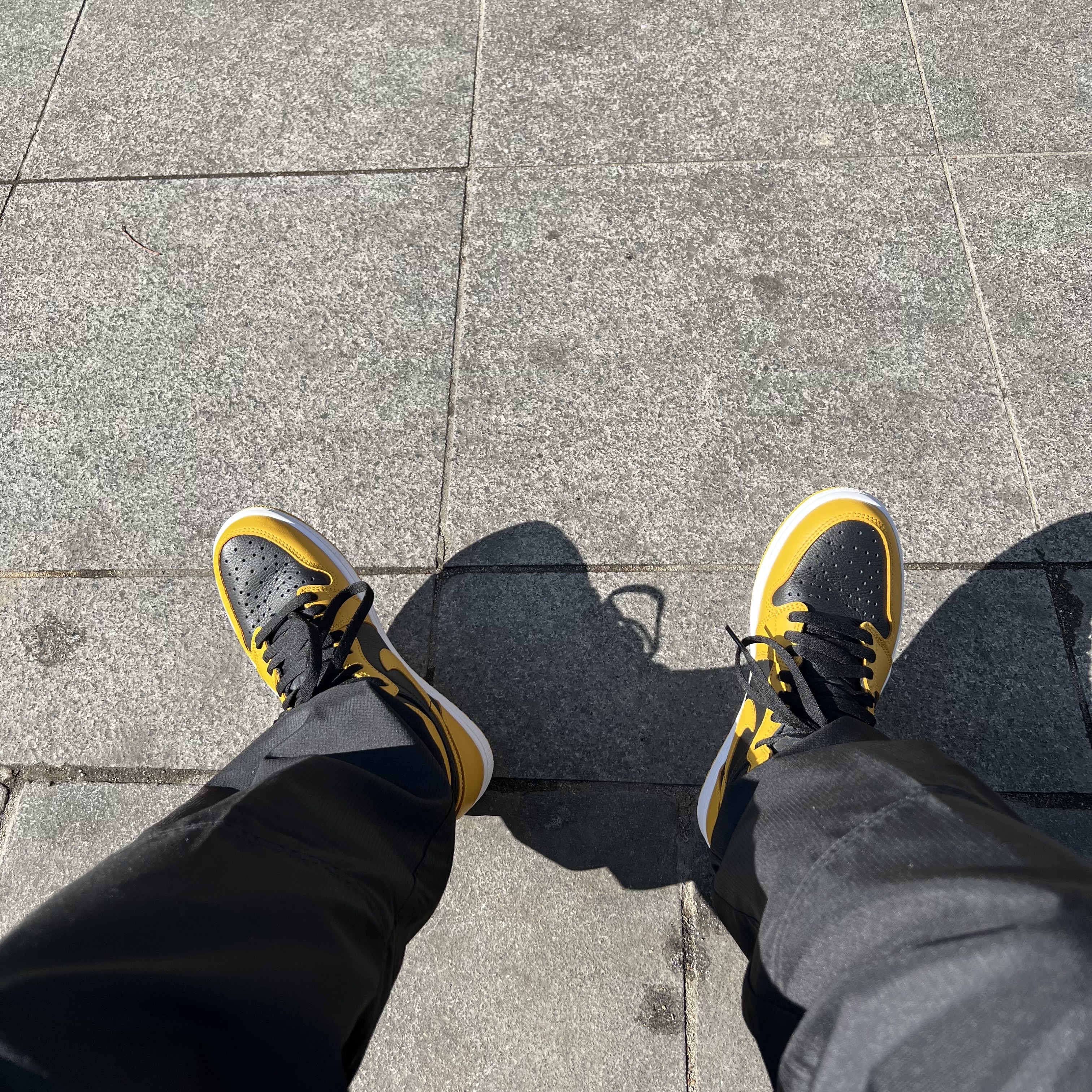 Jordan 1 Retro High OG Pollen 착용 스타일