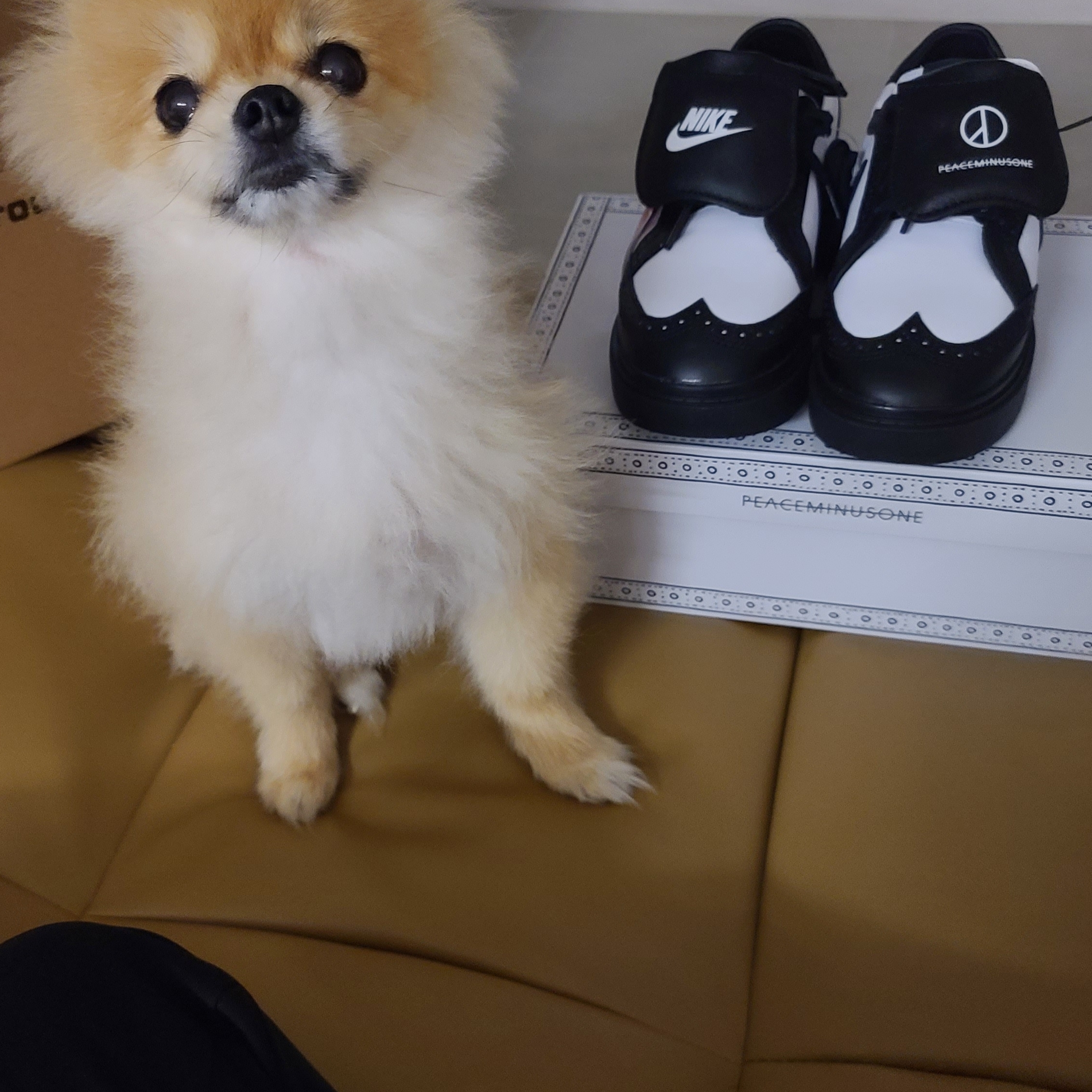 Nike x Peaceminusone Kwondo1 Black and White 착용 스타일 - 3