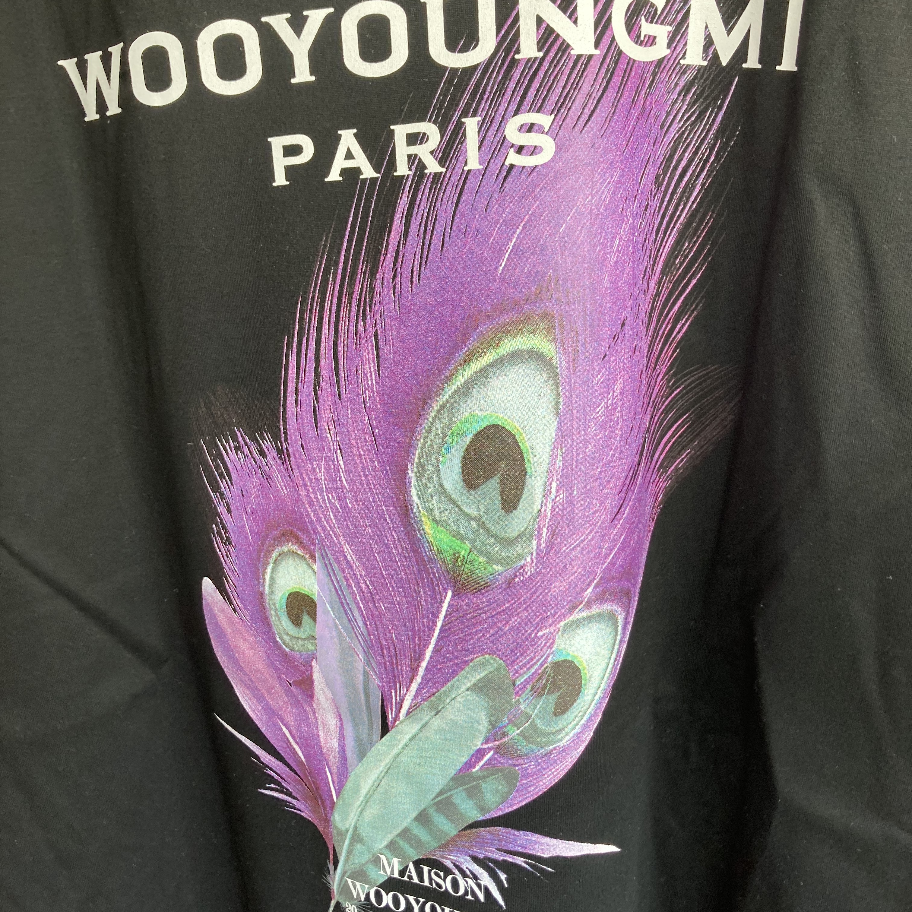Wooyoungmi Feather Back Logo T-Shirt Black - 23SS 착용 스타일 - 2