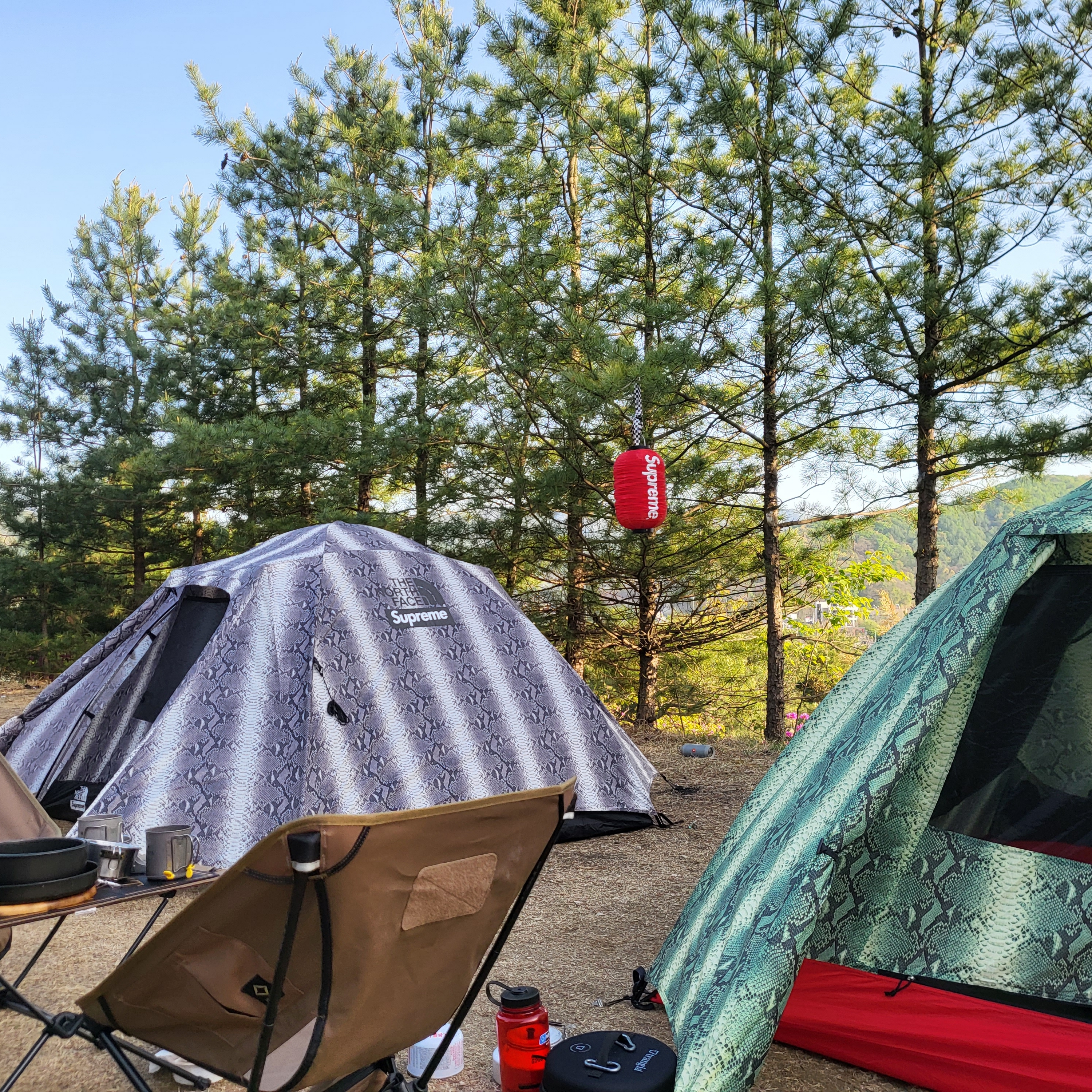 Supreme x The North Face Snakeskin Taped Seam Stormbreak 3 Tent Black - 18SS 착용 스타일 - 2