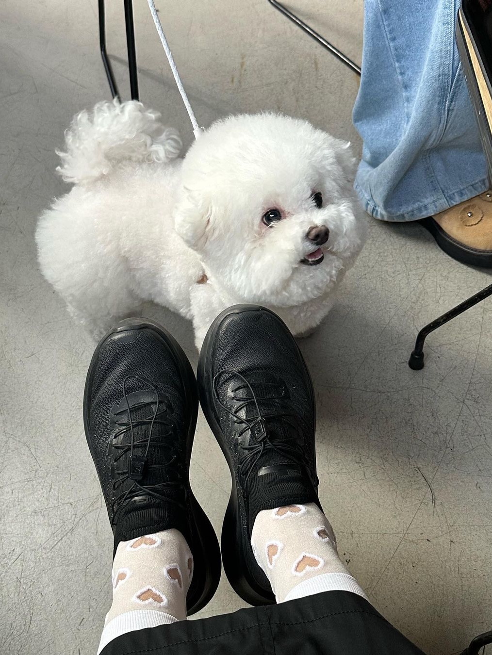 Salomon x Comme des Garcons Pulsar Platform Black 착용 스타일