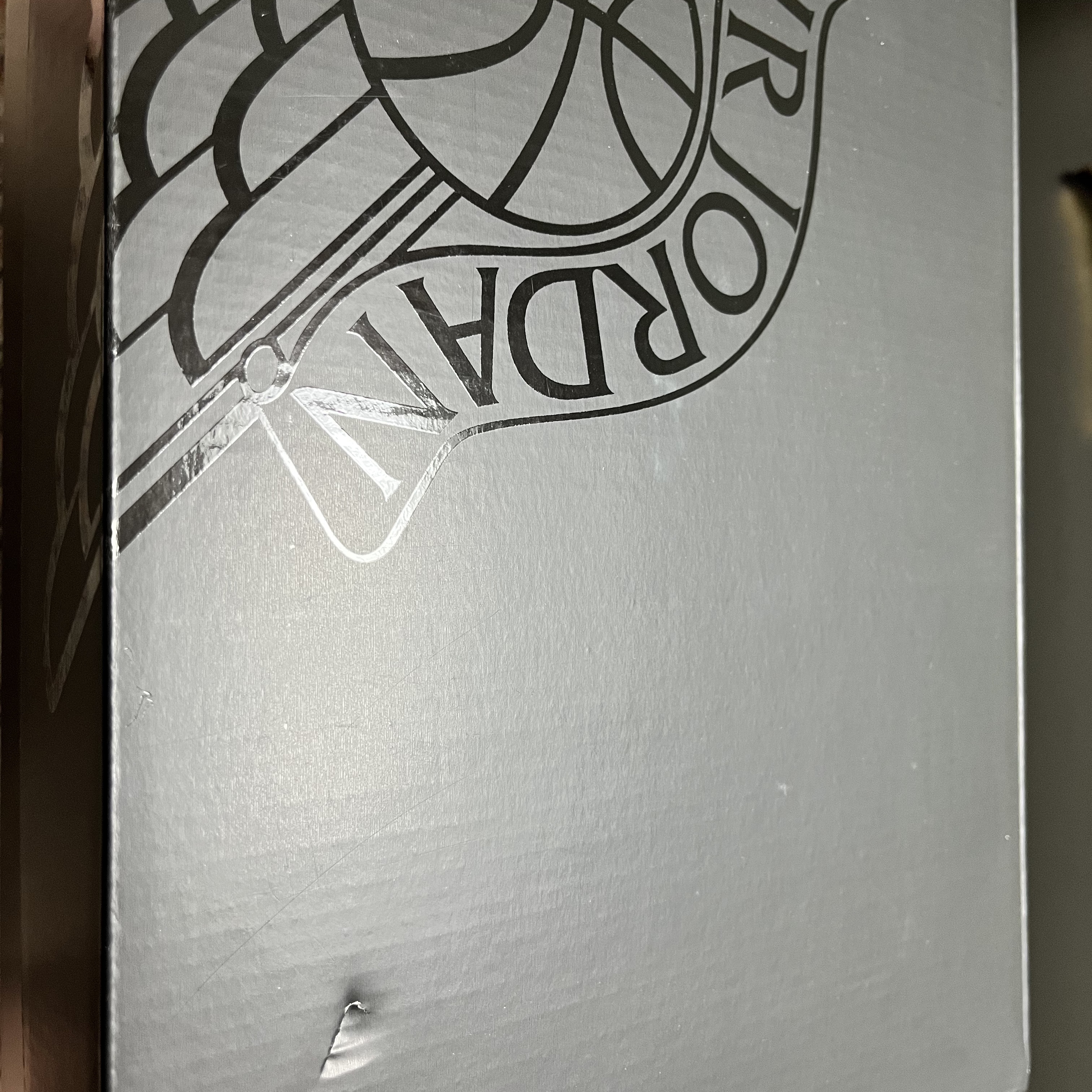 Jordan 1 Low SE Tokyo 96 착용 스타일 - 2