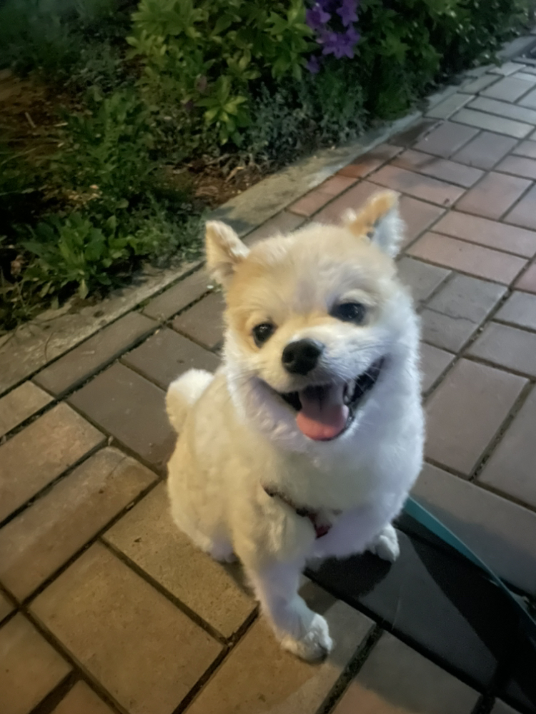 관심 유저 프로필 이미지