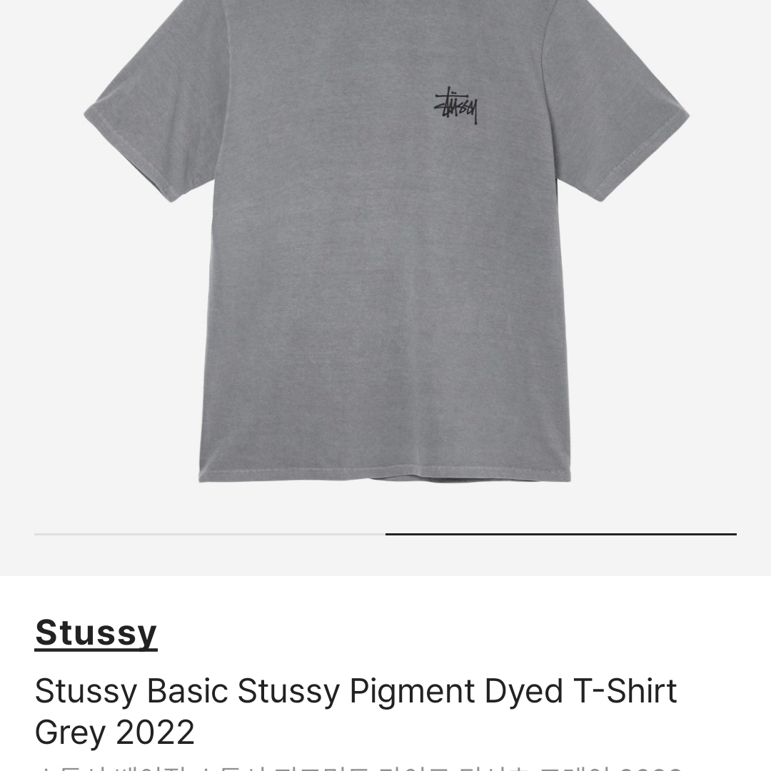 Stussy Basic Stussy Pigment Dyed T-Shirt Grey 2022 착용 스타일