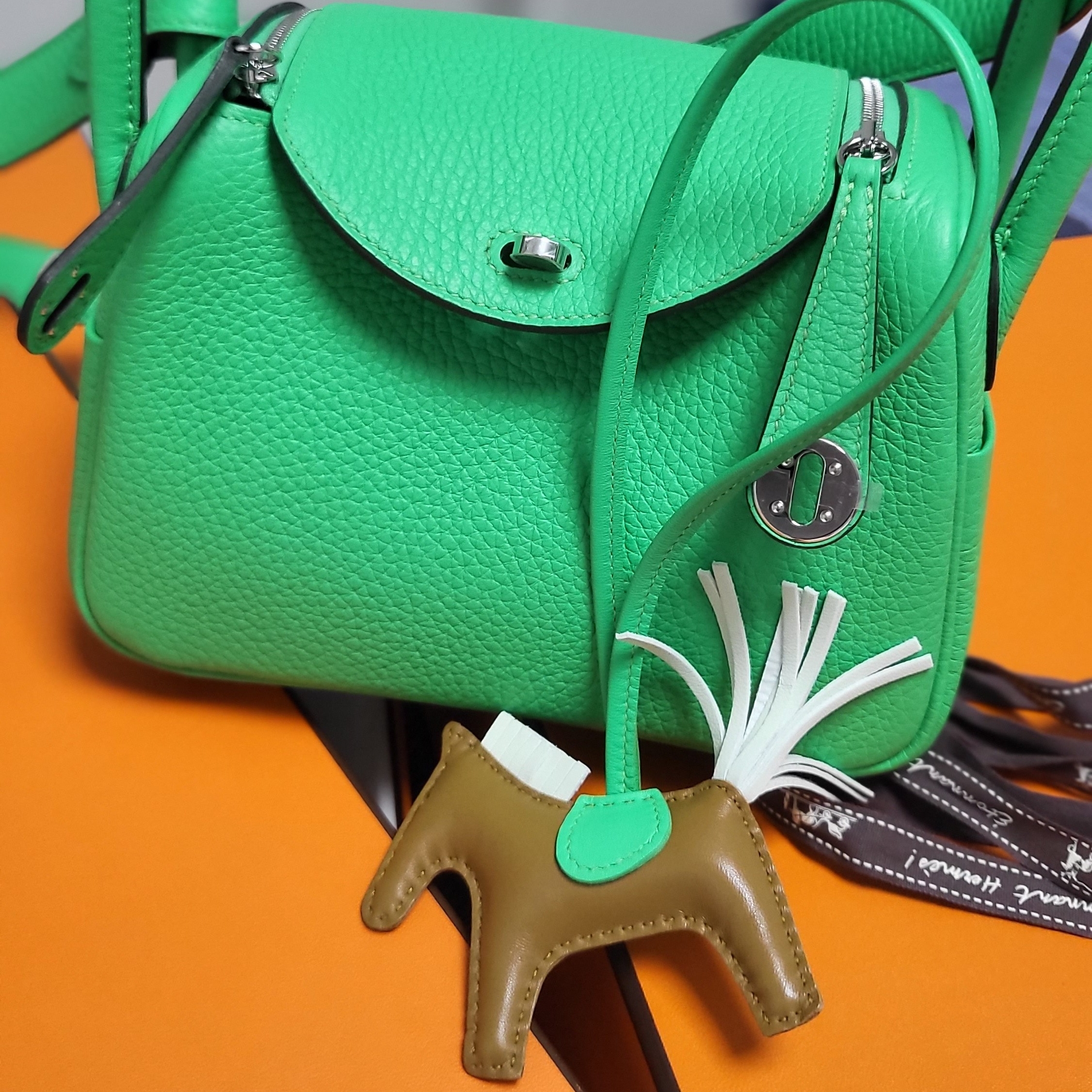 Hermes Lindy Mini Bag Clemence & Palladium Vert Comics 착용 스타일