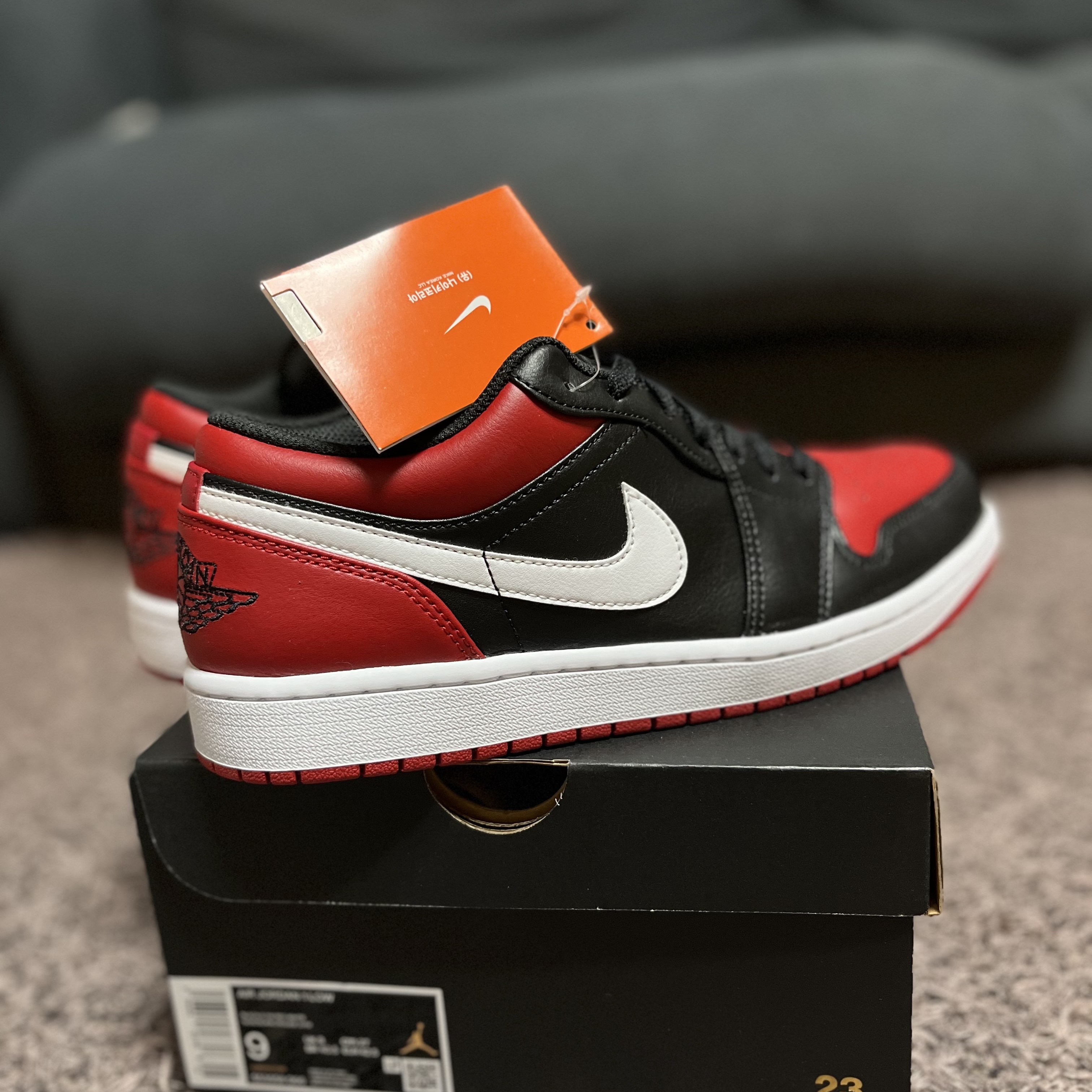 Jordan 1 Low Alternate Bred Toe 착용 스타일 - 5