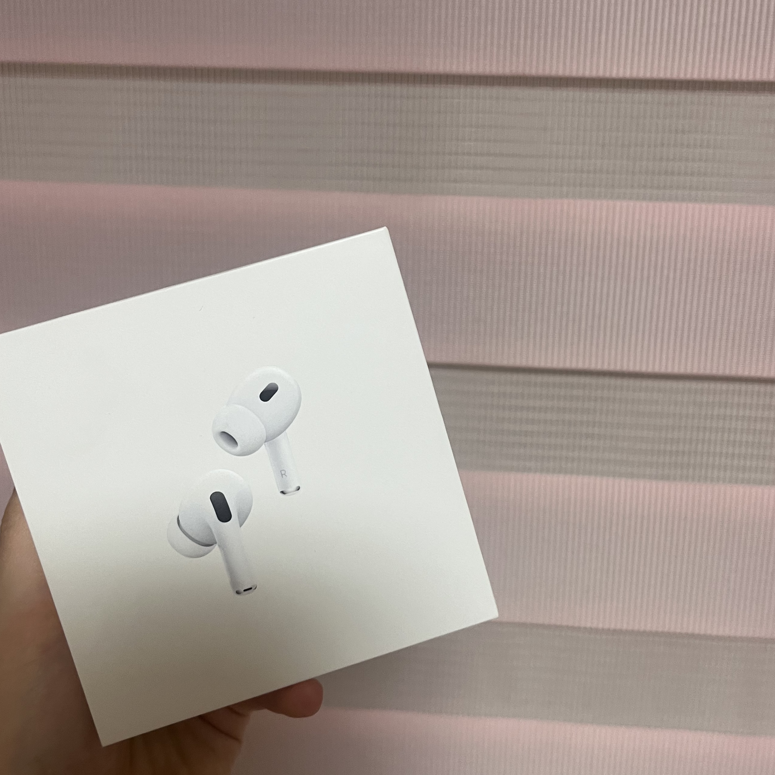 Apple AirPods Pro 2nd Gen (Korean Ver.) 착용 스타일