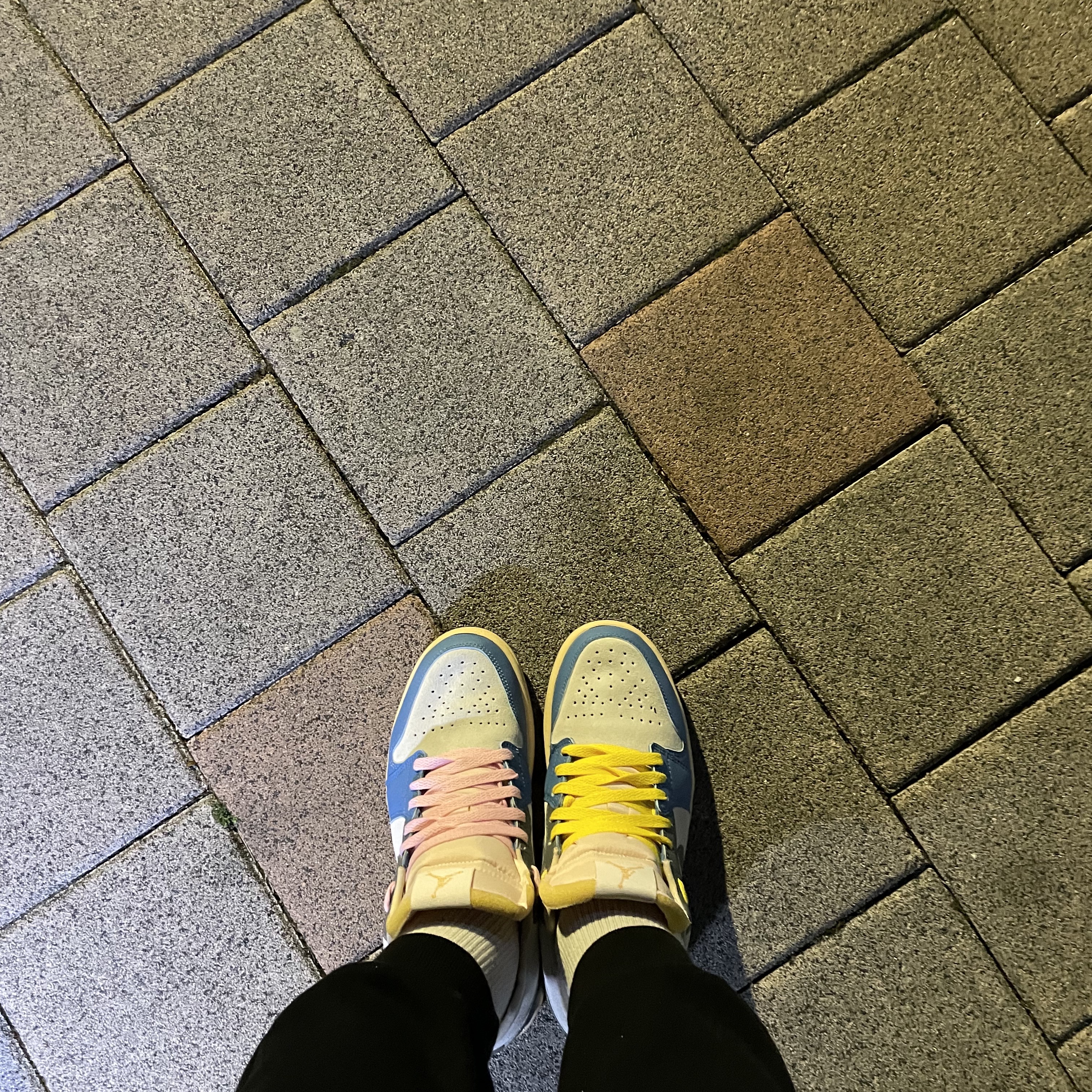 Jordan 1 Low SE Tokyo 96 착용 스타일