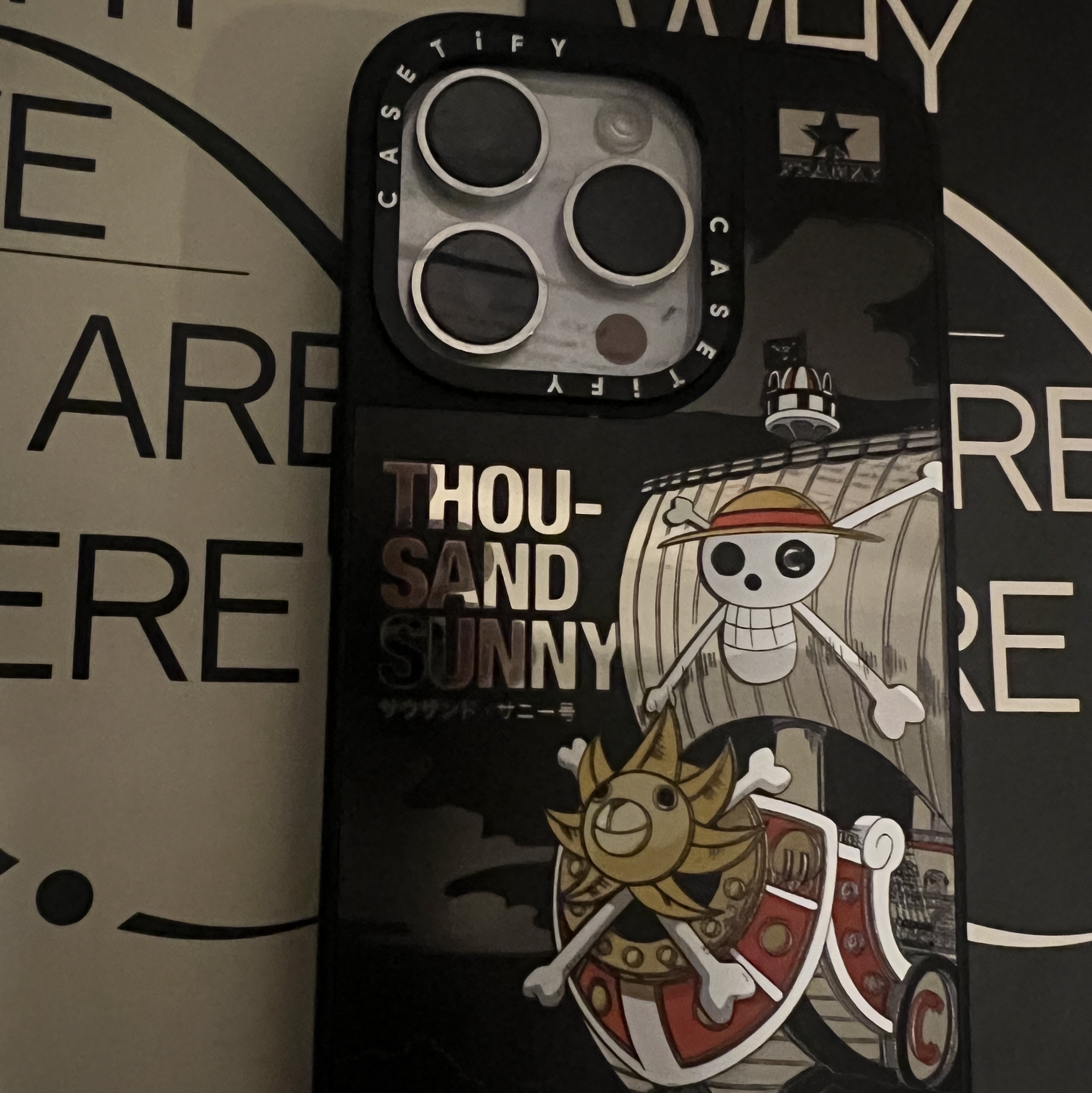 Casetify x One Piece iPhone Thousand Sunny Ship MagSafe Mirror Case Black 착용 스타일