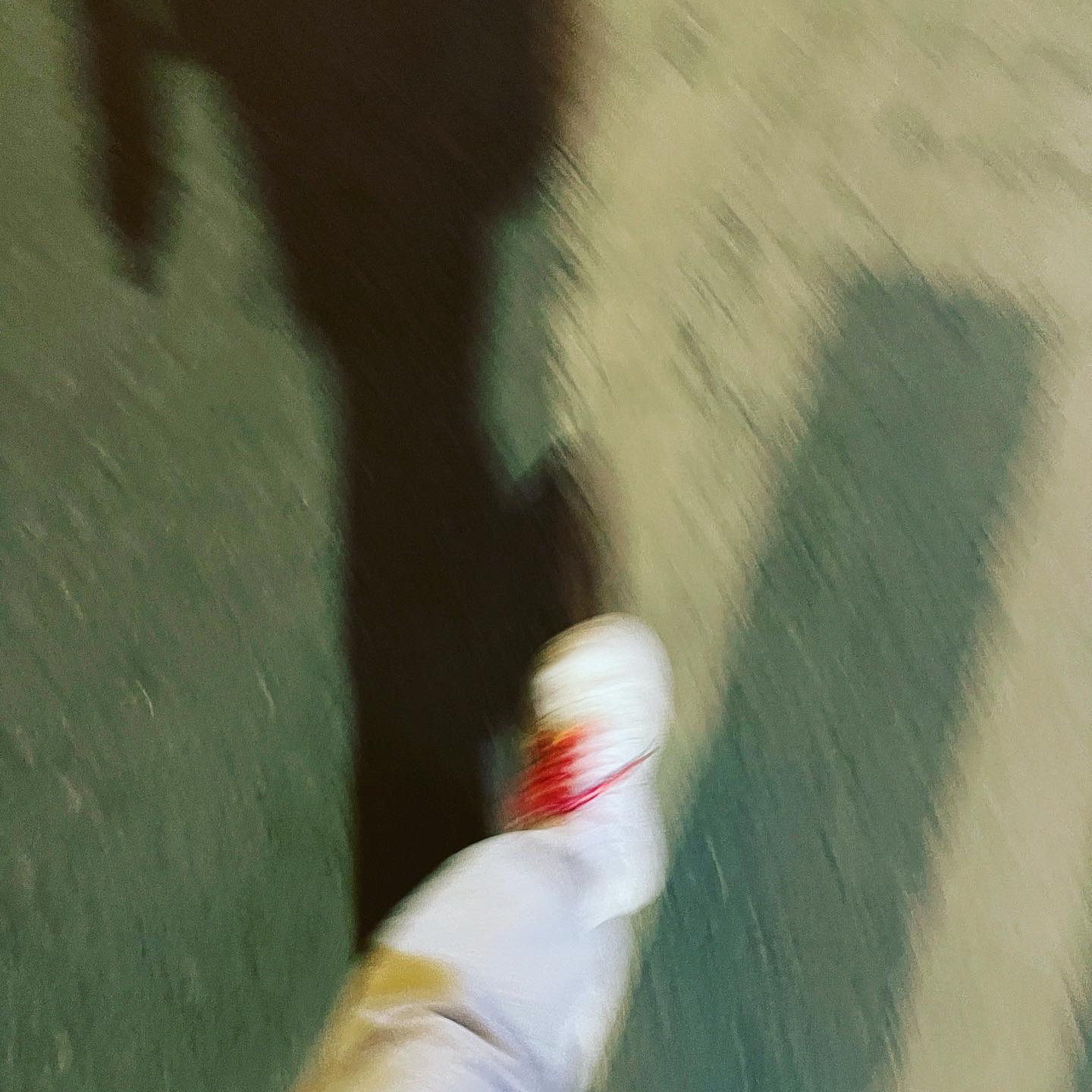 Nike x Supreme Air Force 1 Low White 착용 스타일