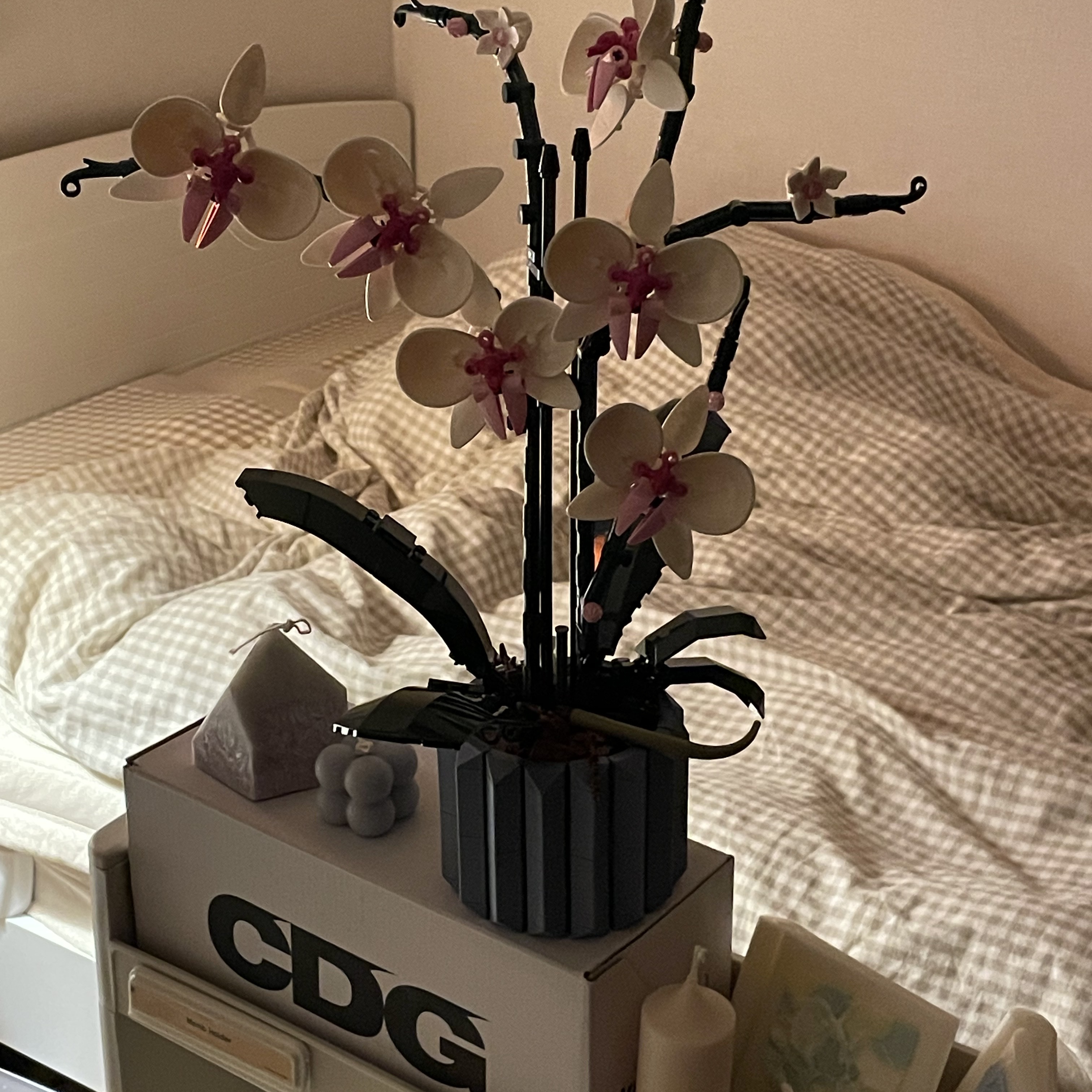 Lego Orchid 착용 스타일