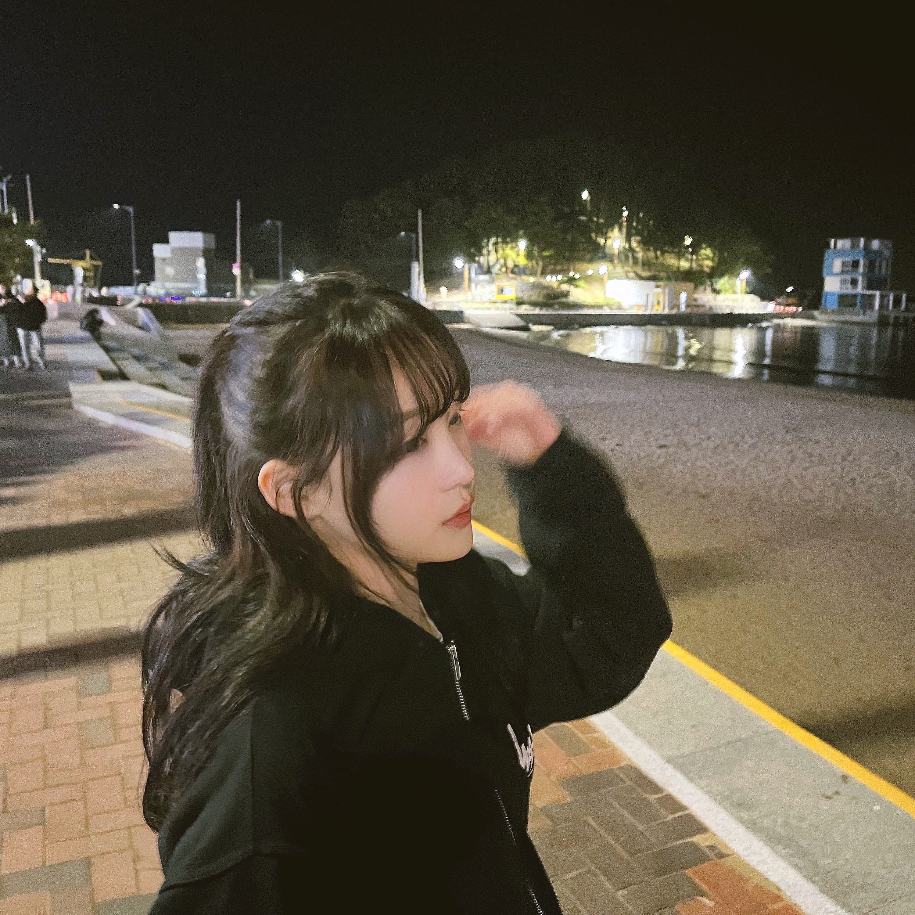Stussy Flipped Zip Hoodie Black 착용 스타일
