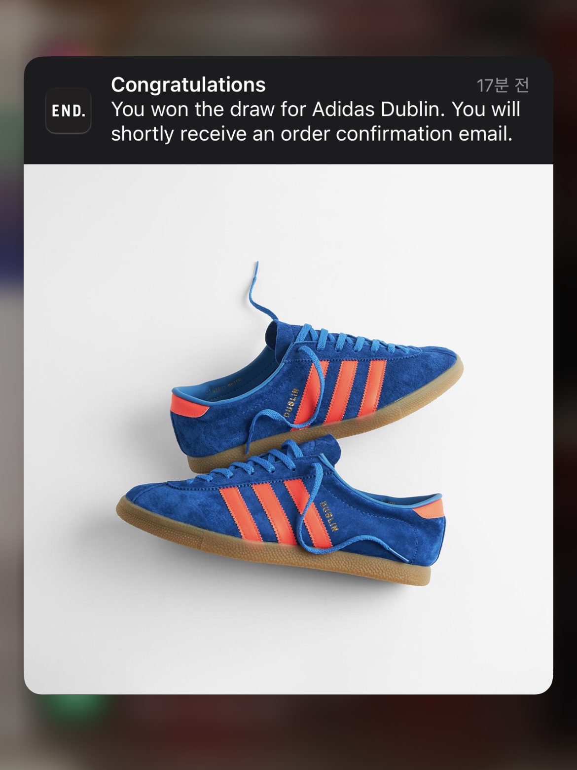 Adidas Dublin Phanton Solar Red 착용 스타일 - 4