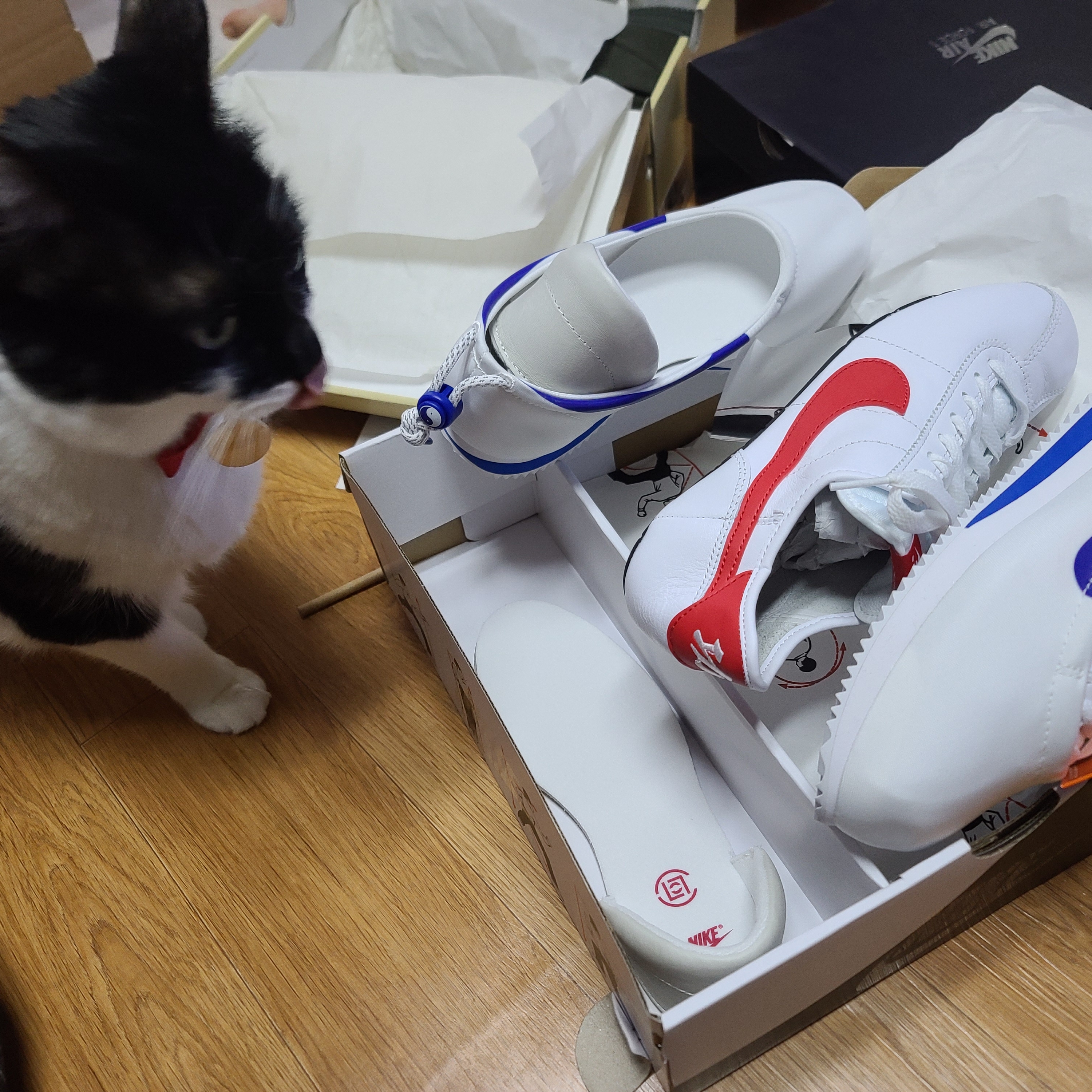 Nike x Clot Cortez SP White and Game Royal 착용 스타일 - 2