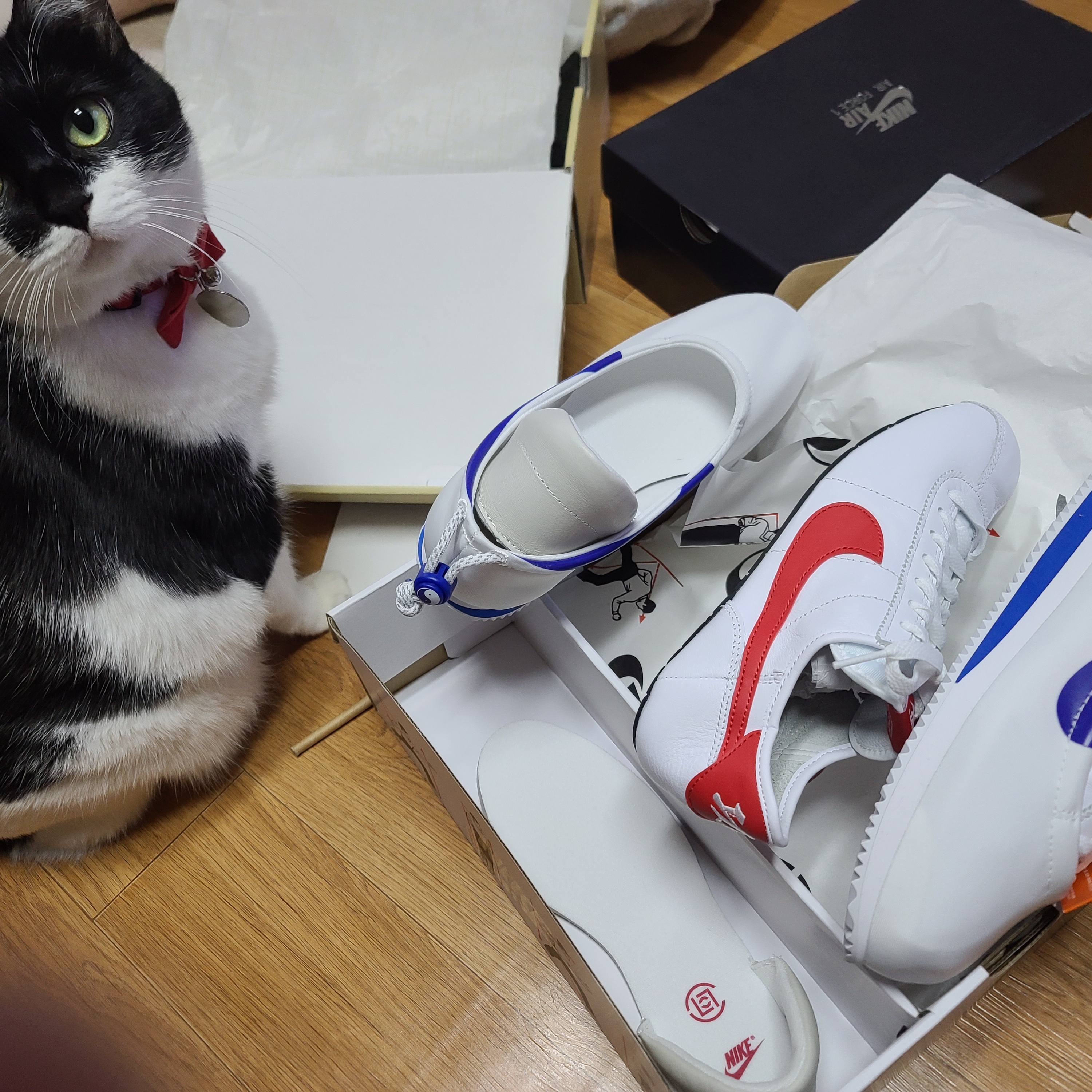 Nike x Clot Cortez SP White and Game Royal 착용 스타일 - 3