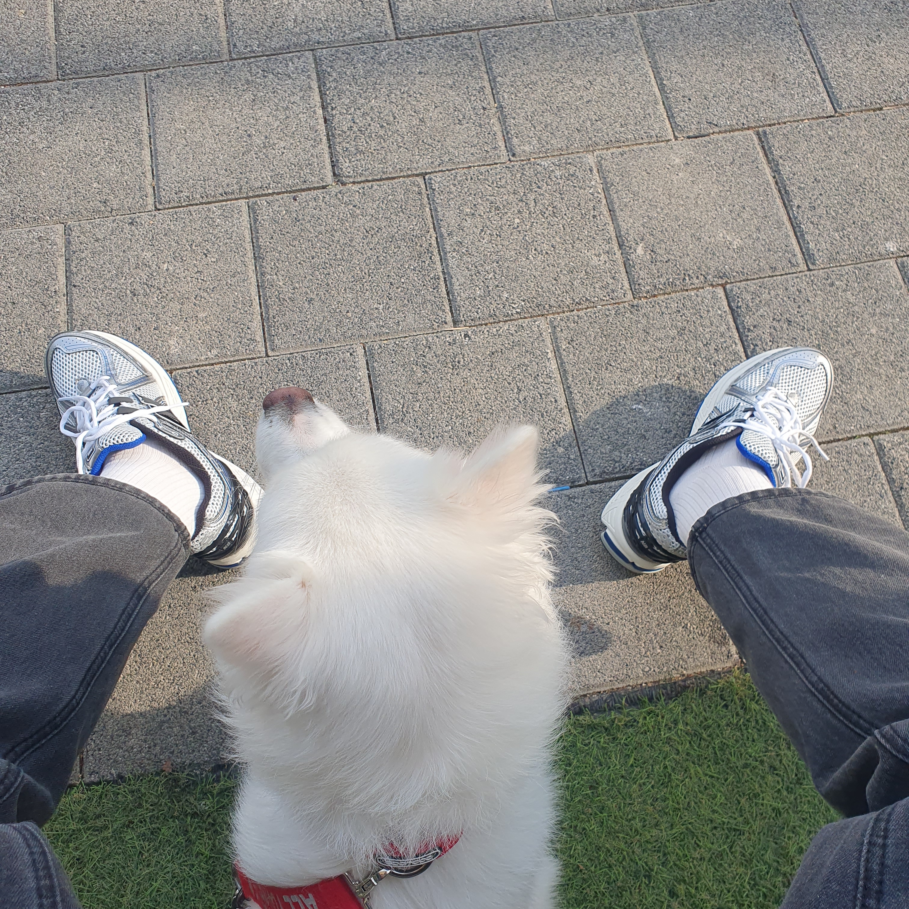 New Balance 1906R Silver Metallic 착용 스타일