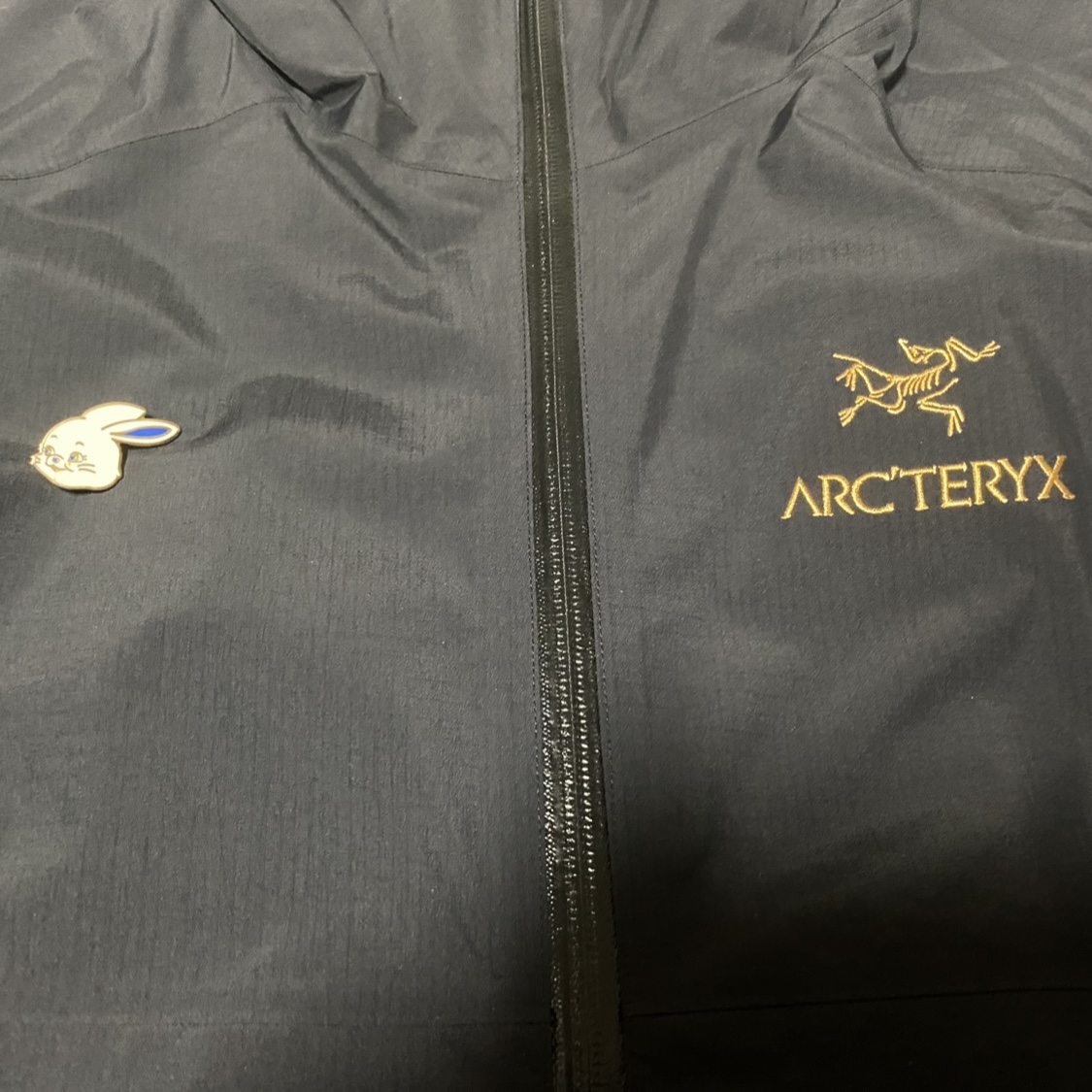 Arc'teryx x Beams Zeta SL Jacket Black Gold 착용 스타일 - 2