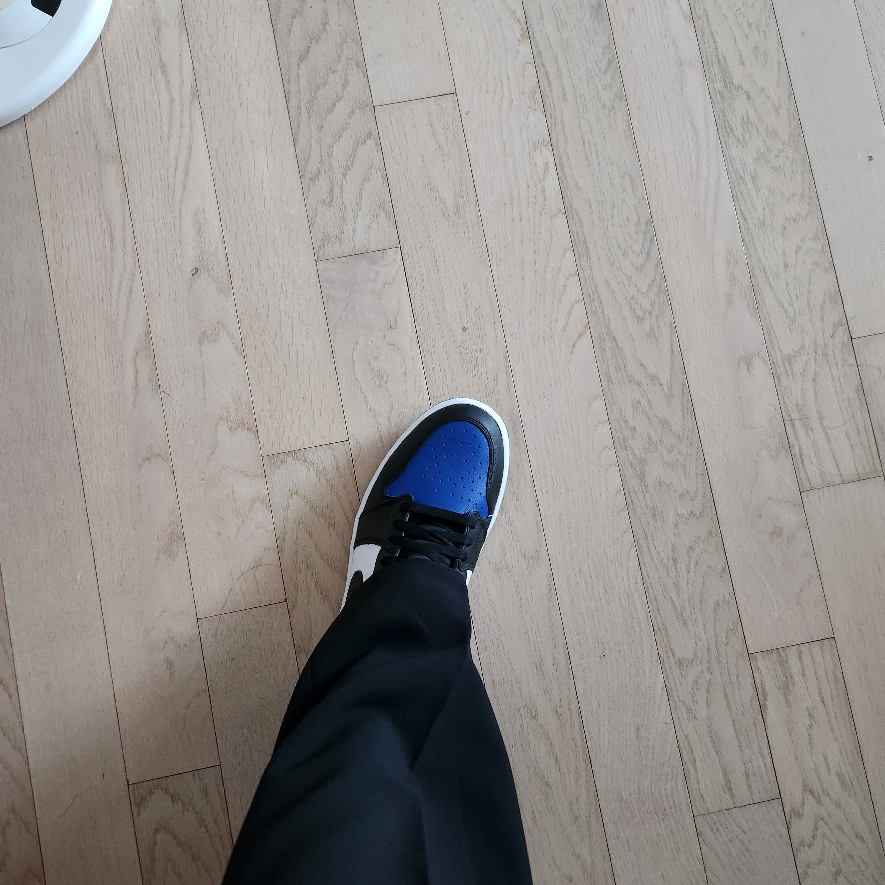 Jordan 1 Low Golf Sport Royal 착용 스타일 - 1